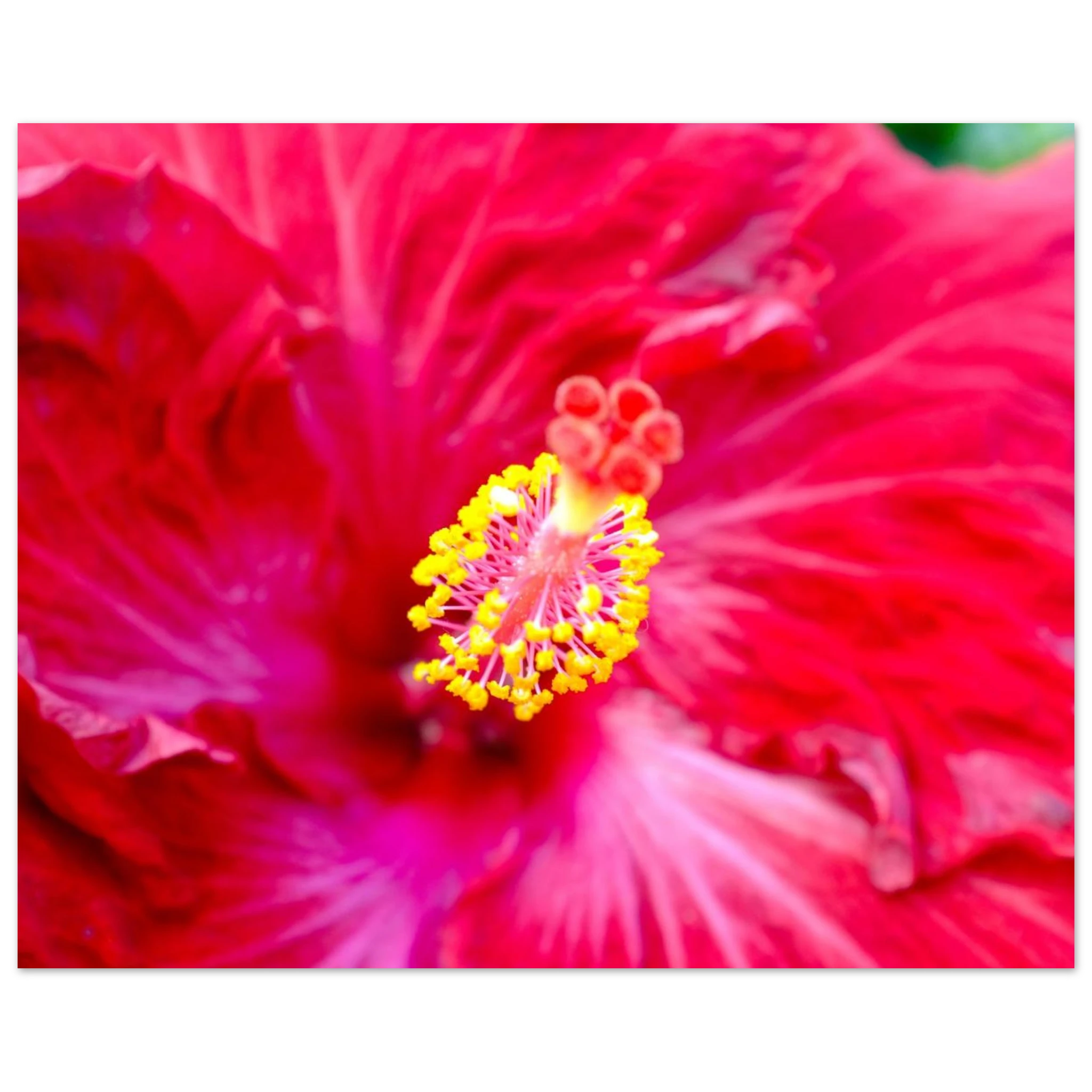 a65d4864-a631-4726-9b25-faac5eeecc47
