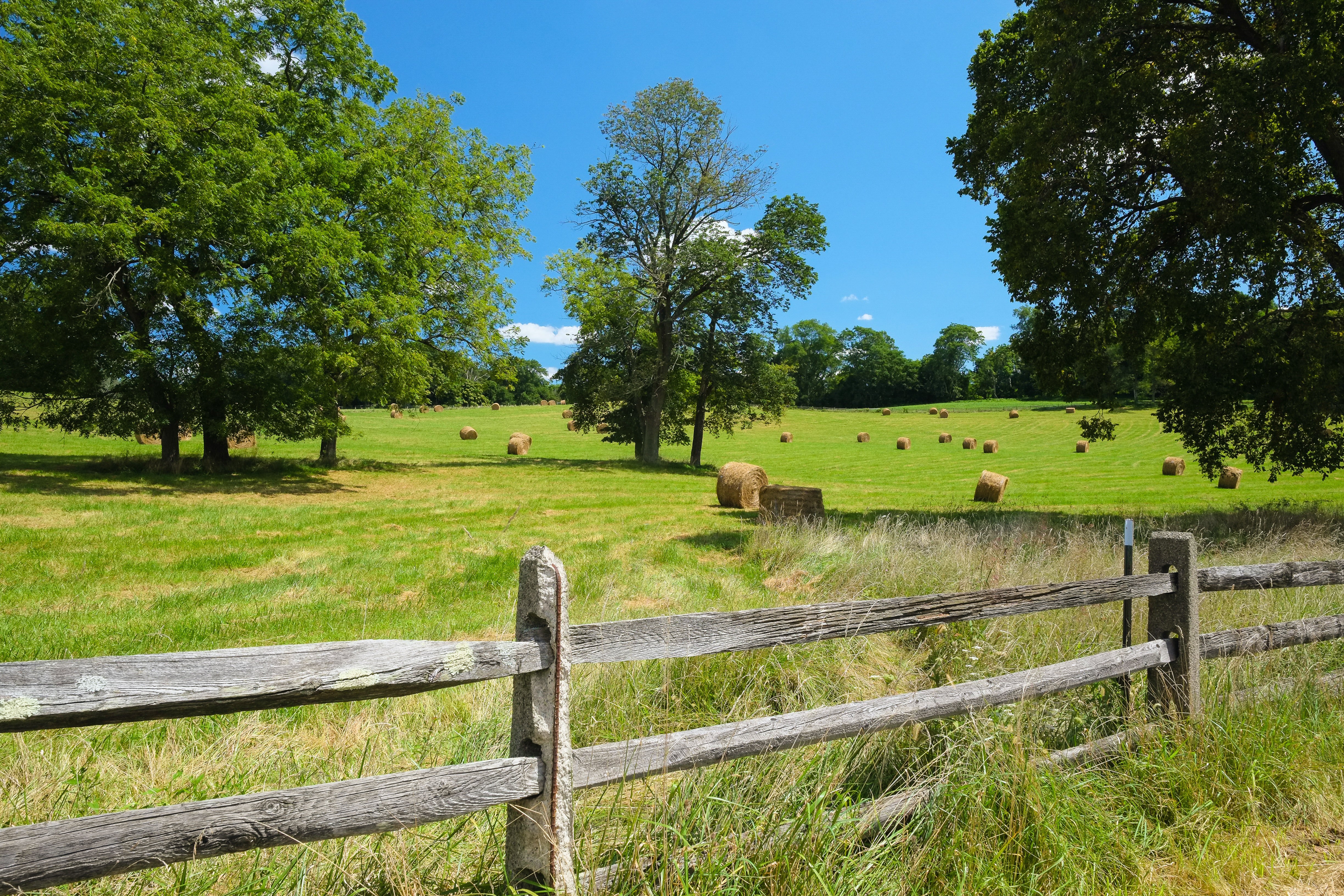 Hay Bales and Split-Rail Fence - Ardrossan Farm Pastoral Landscape Photography