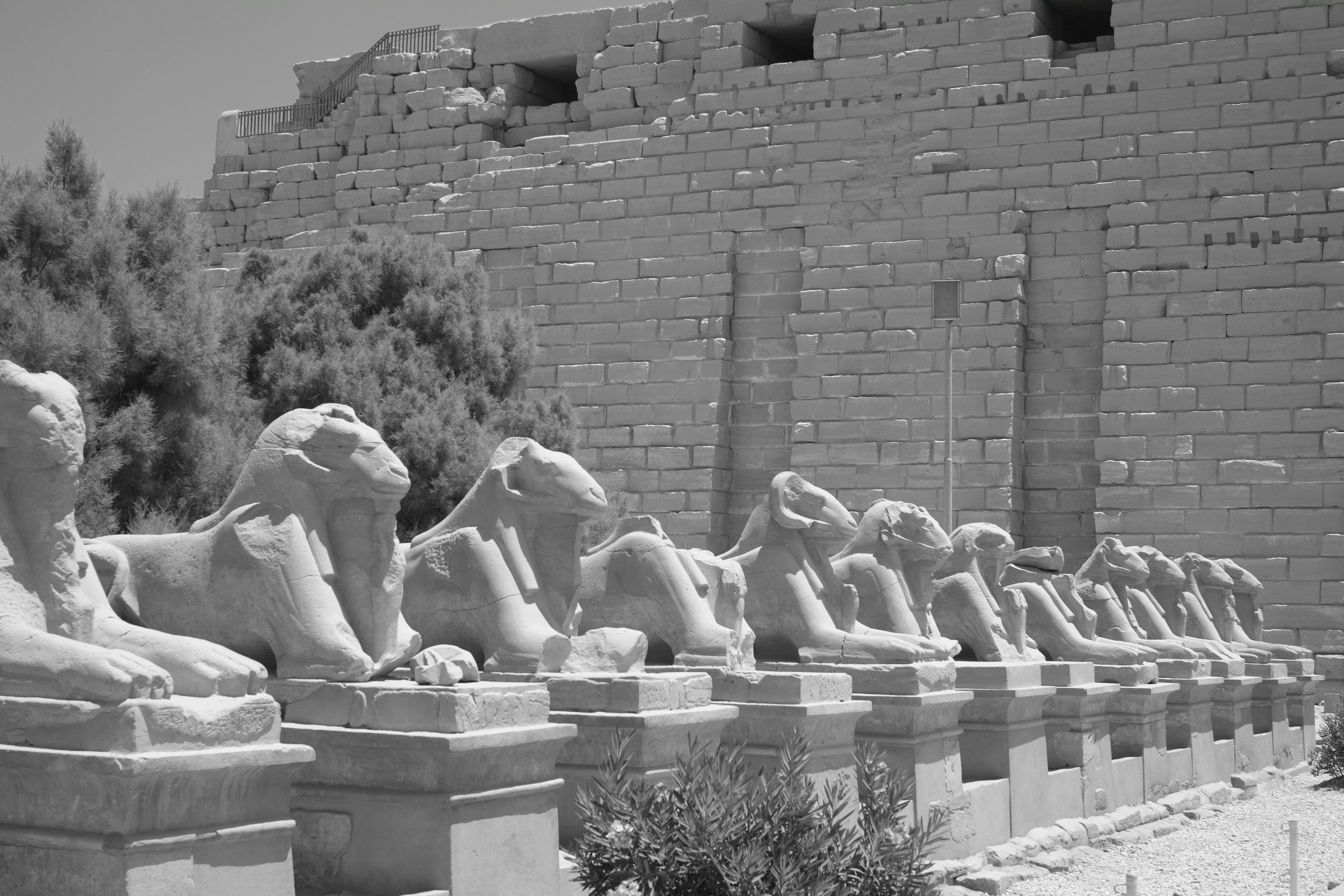 Avenue of the Ram-Headed Sphinxes - Karnak Temple Luxor Photography
