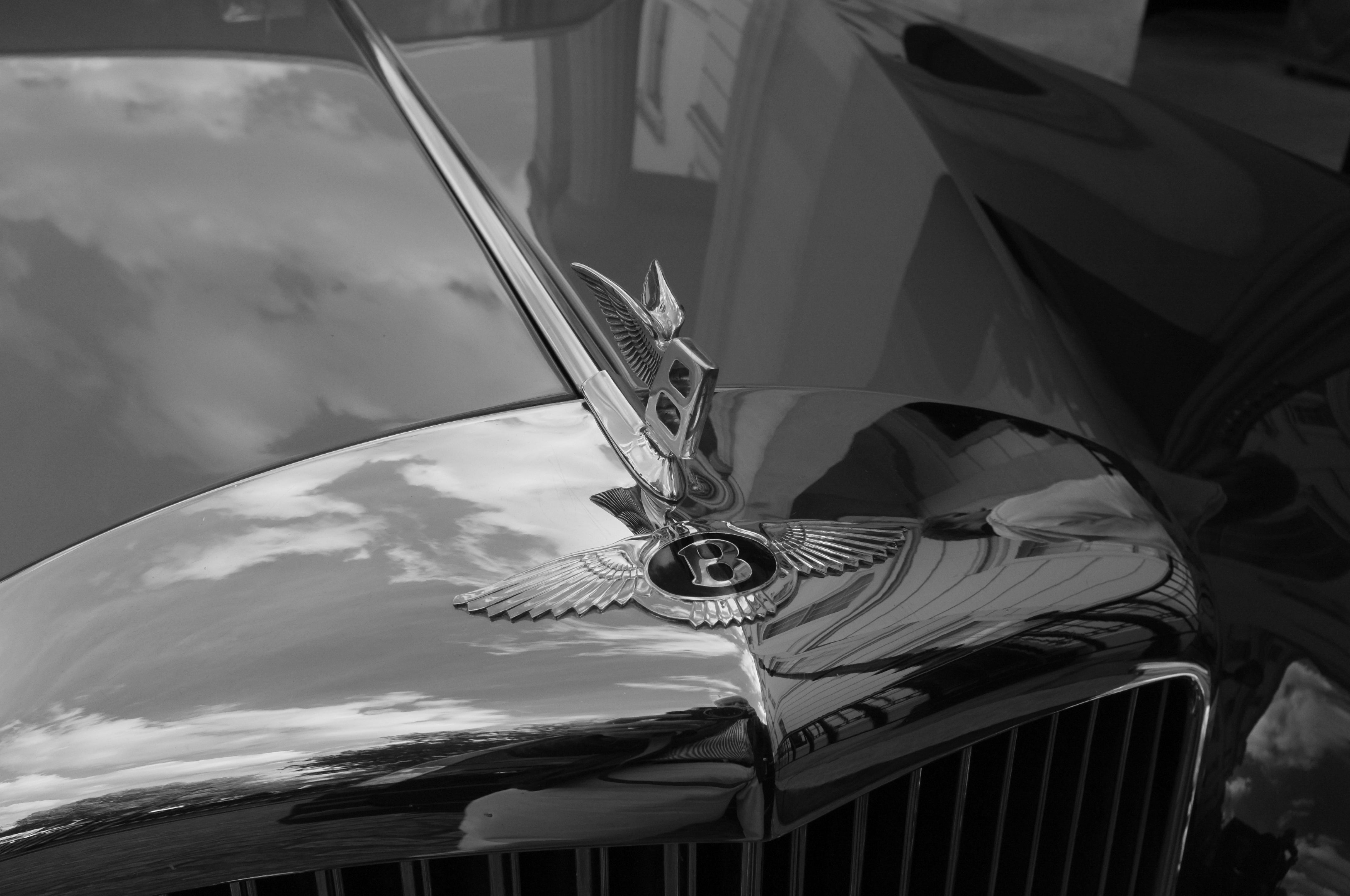 Bentley Hood Ornament - Monochrome Detail Photography