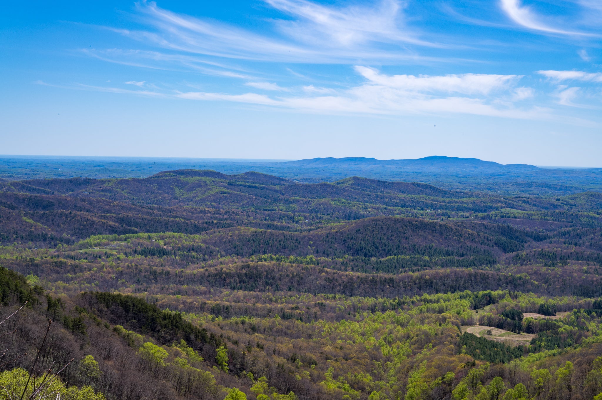 Blue Ridge Mountains Spring Forest - Overlook Landscape Photography