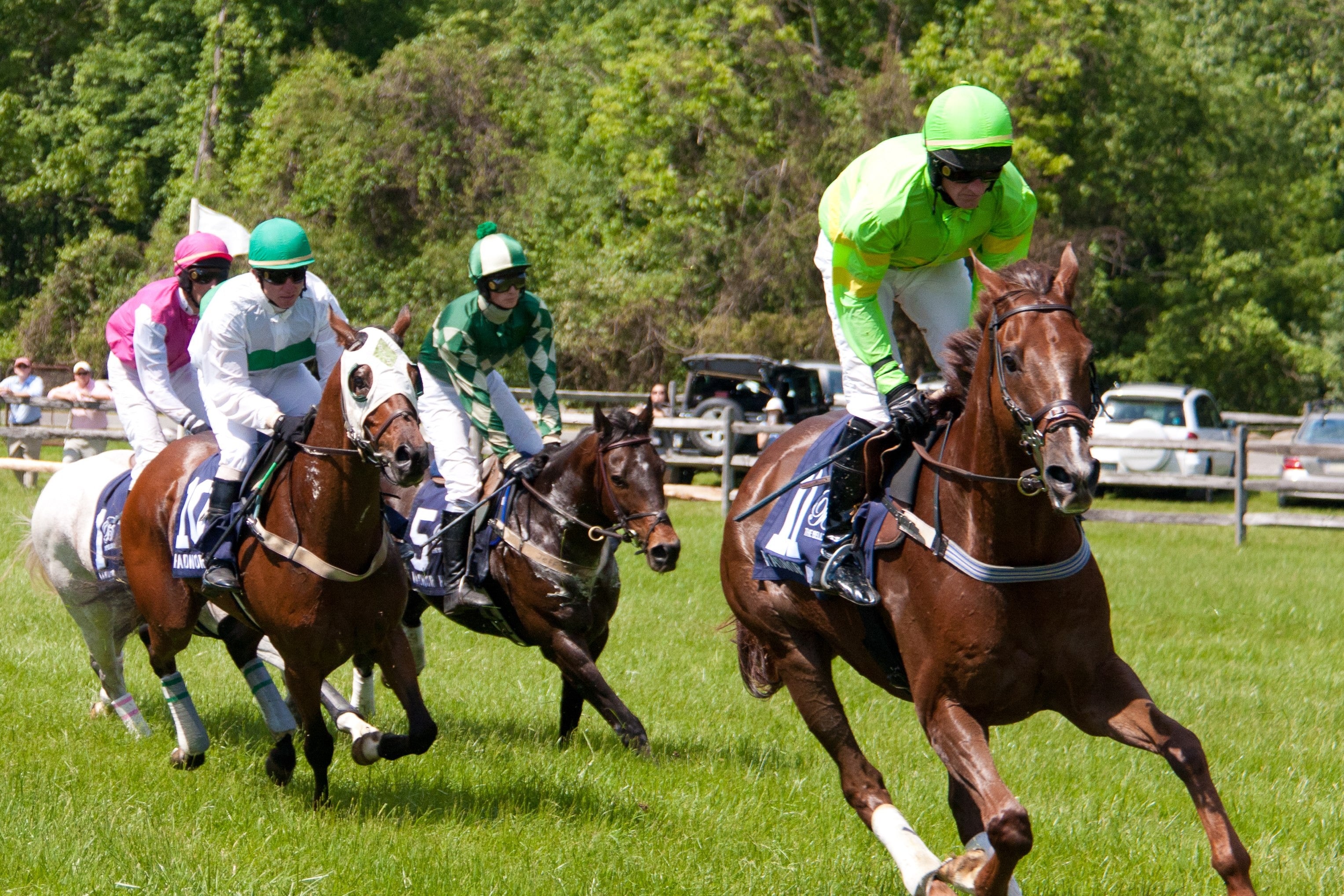 Thundering Home Steeplechase at Radnor Hunt, Pennsylvania
