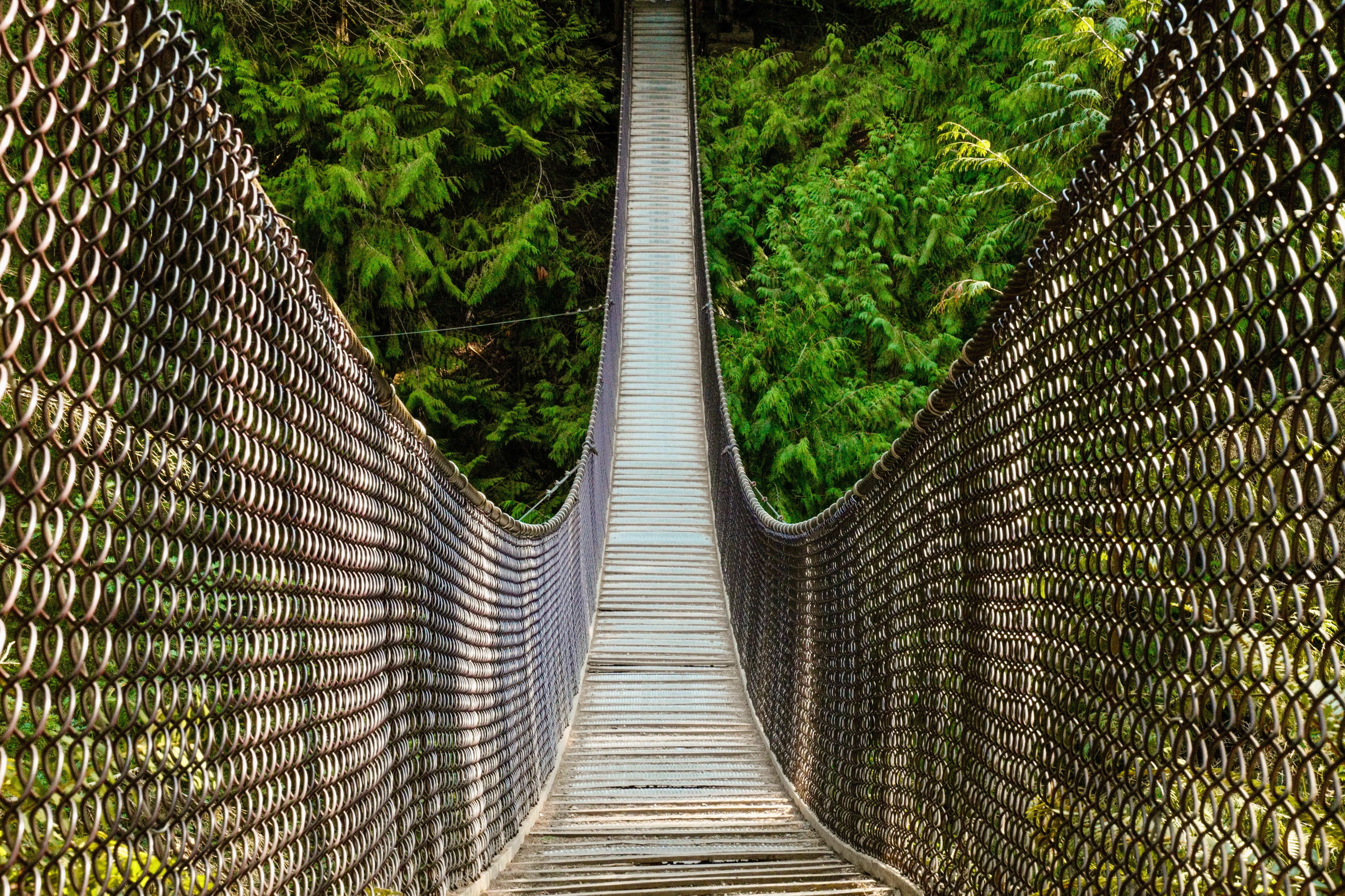 Lynn Canyon Suspension Bridge - Vancouver Forest Photography