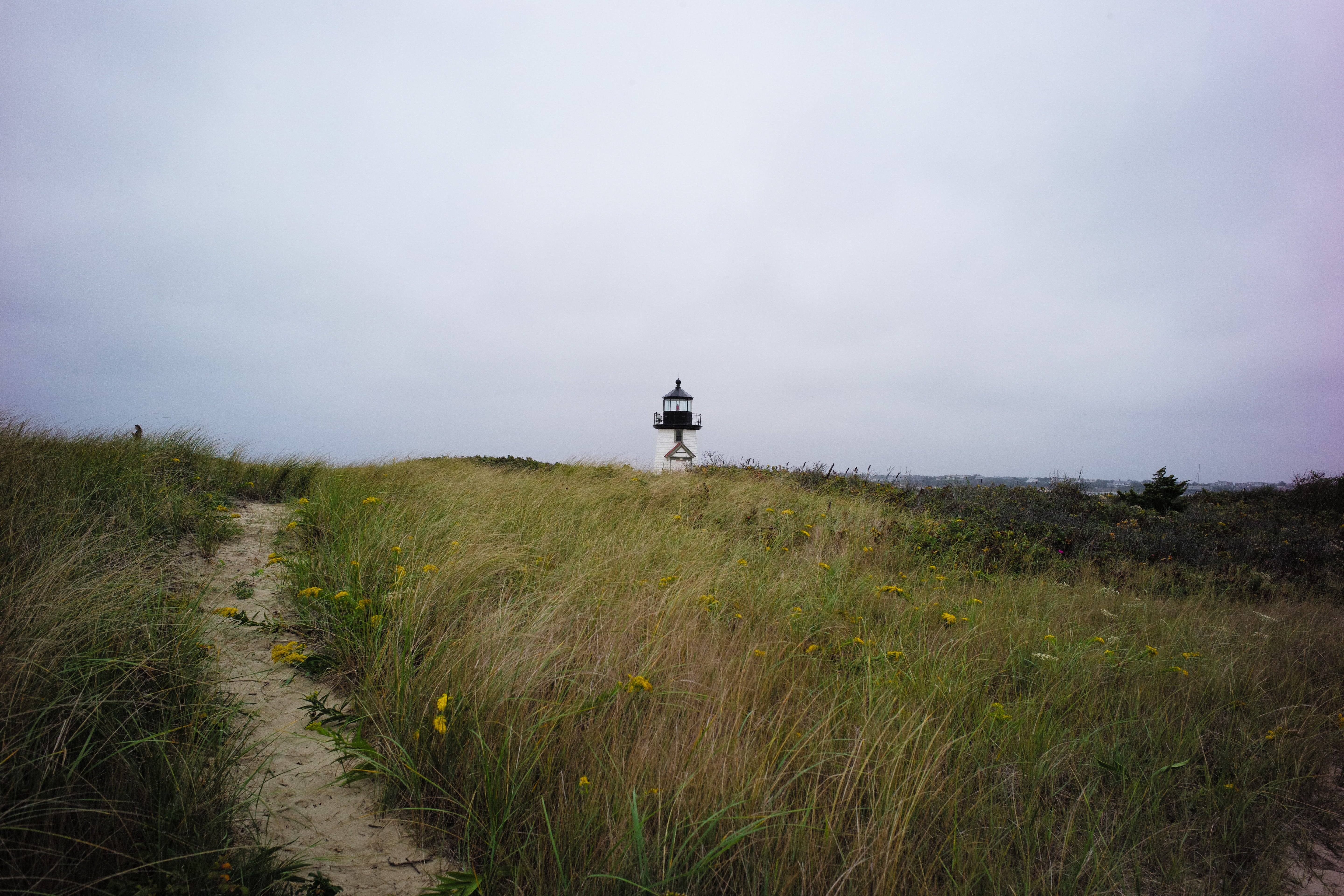 Brant Point Through the Dunes - Nantucket Landscape Photography