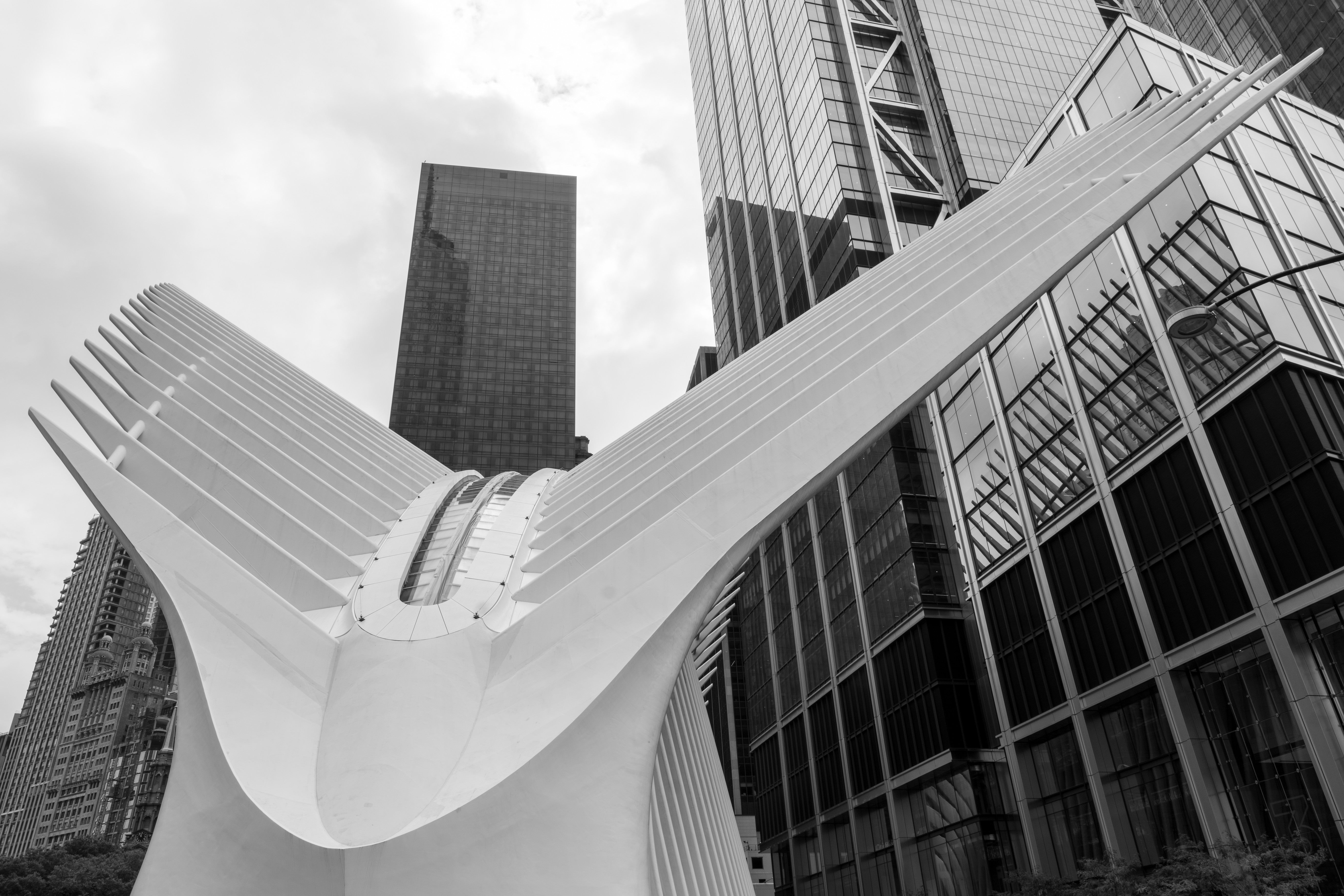 Oculus and WTC Towers - New York Black and White Architecture Photography