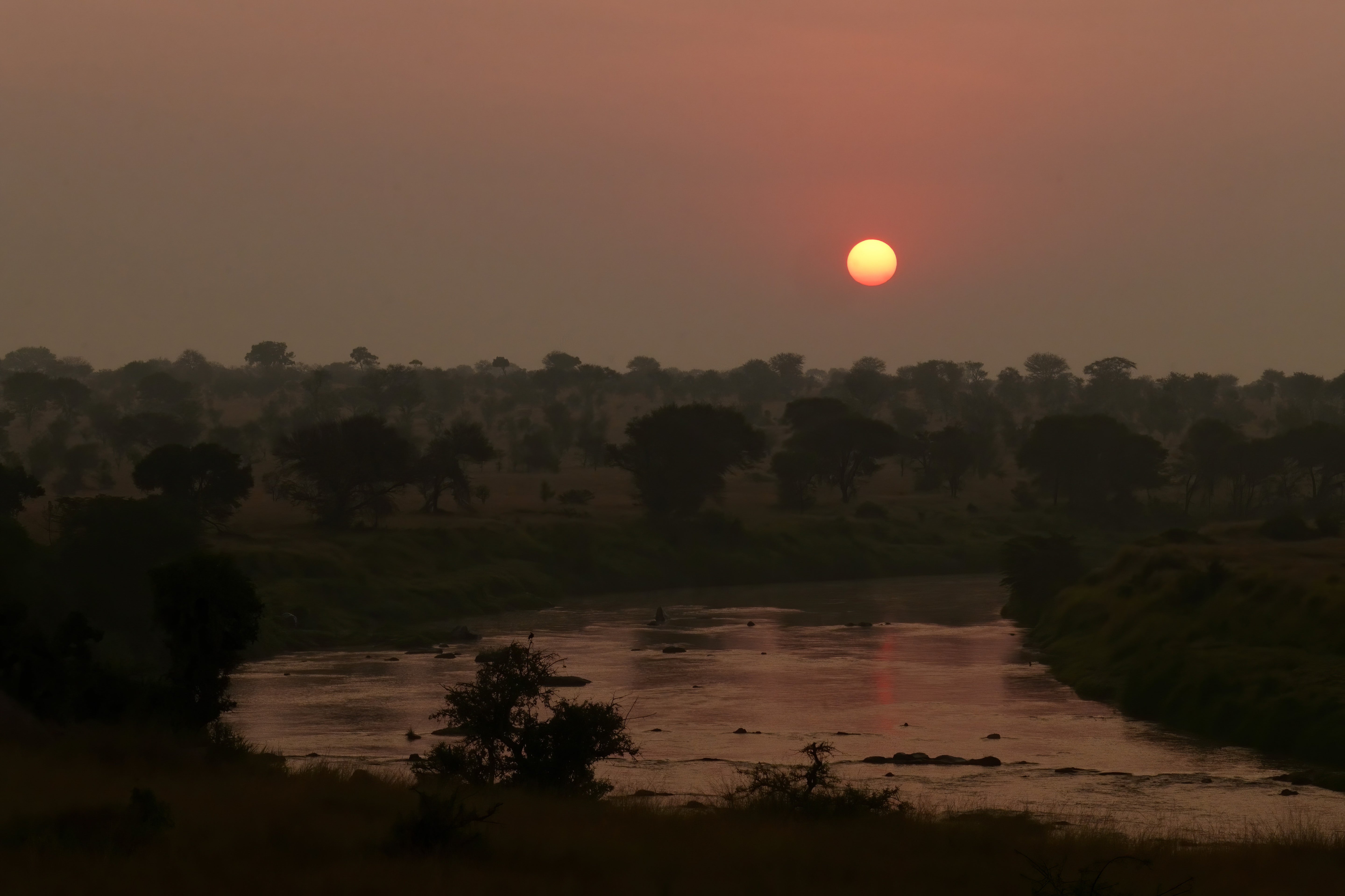 Sunset Over the Serengeti River - Golden Hour Landscape Photography