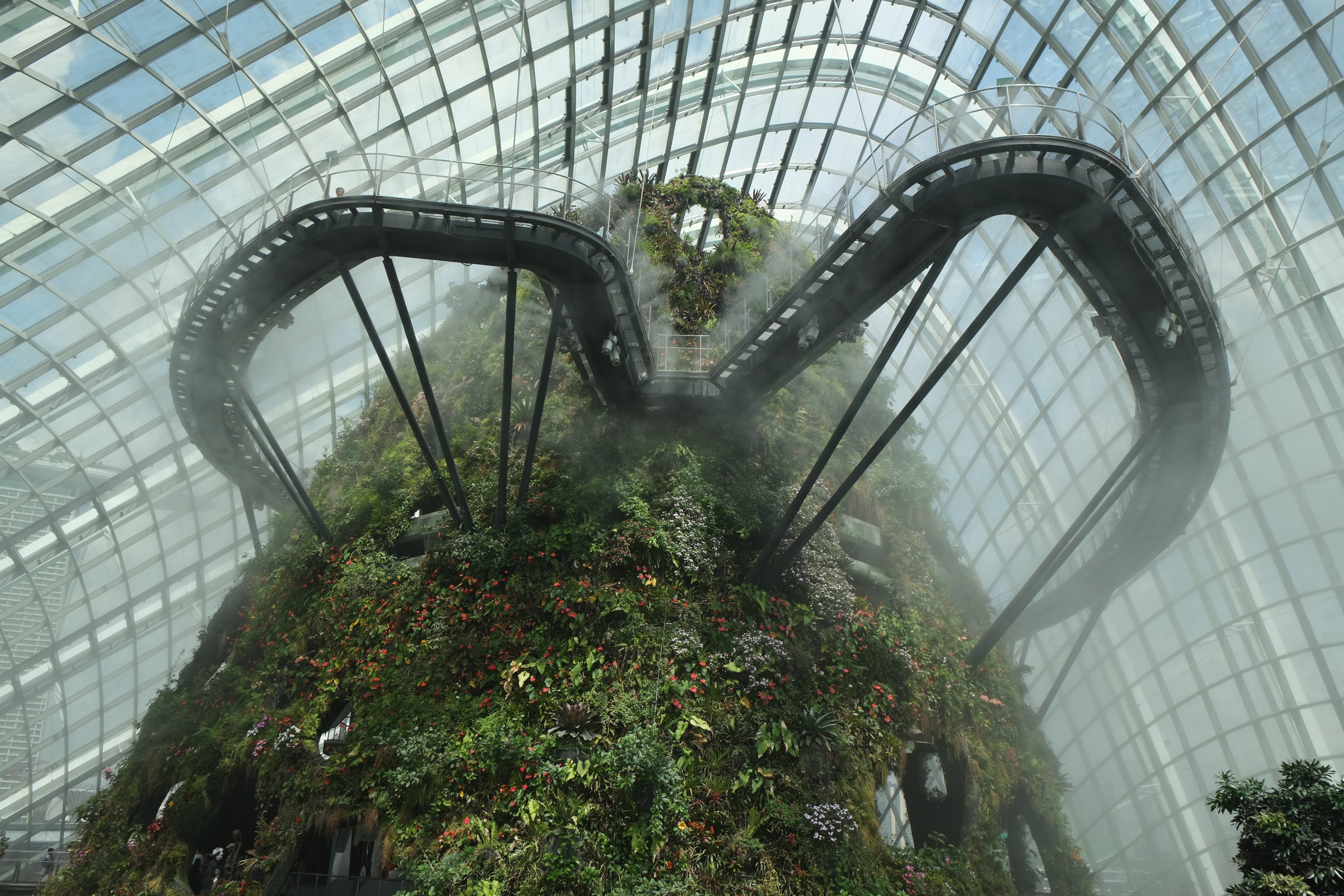 Cloud Forest Dome Walkways - Singapore Architecture Photography