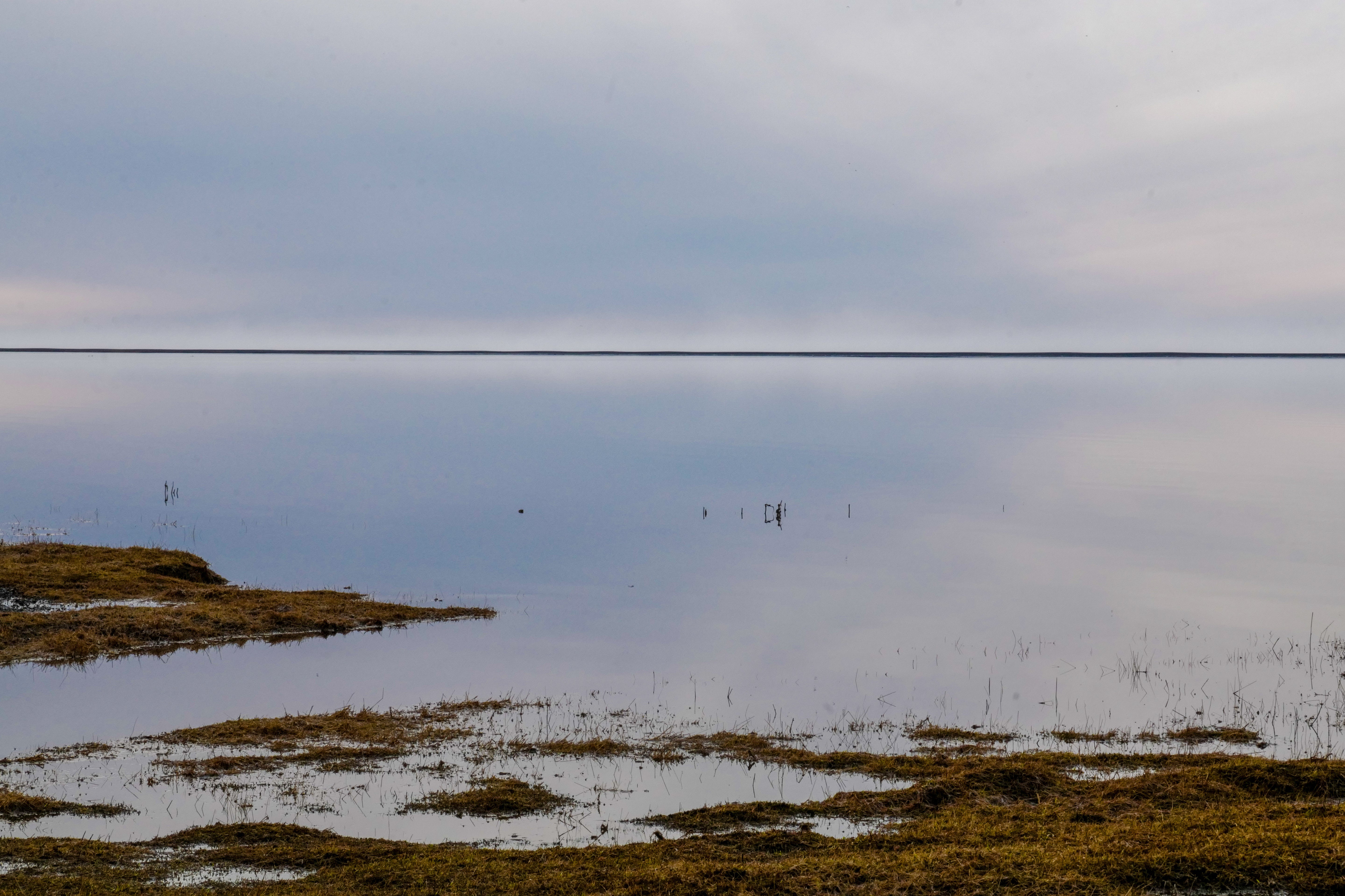 Still Tidal Flat - Minimalist Coastal Seascape Photography