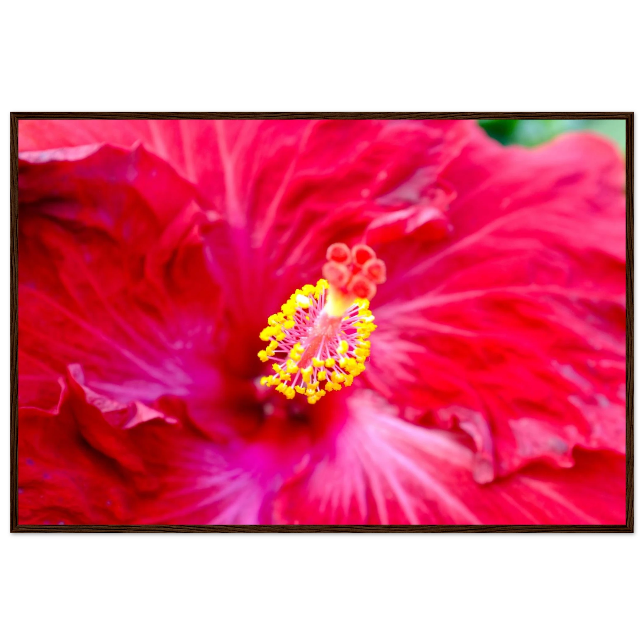 06e89889-4bfb-4ff7-bd50-13806c52c7d4