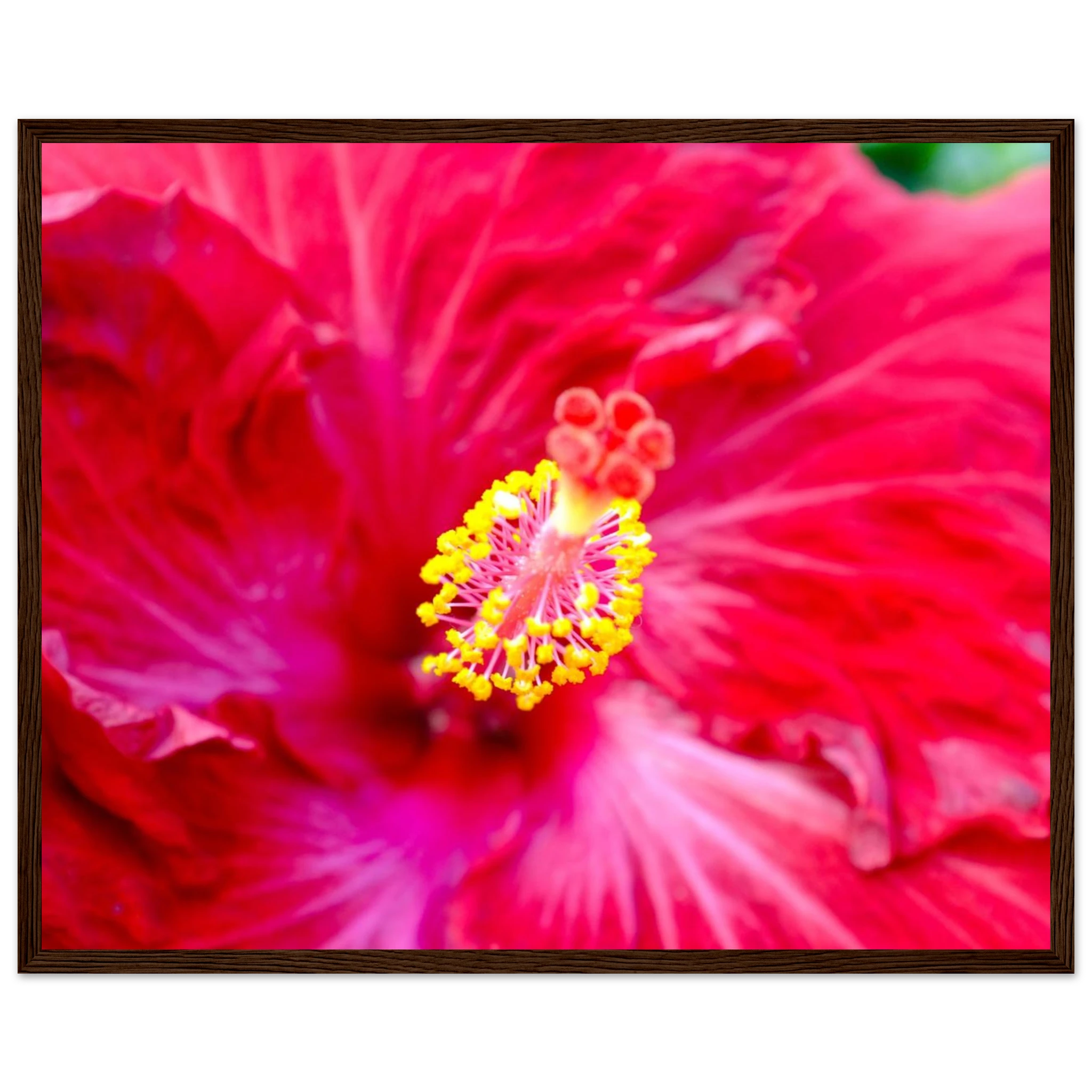 280e98e3-7297-4ae1-8bb1-0bbcba4854d3