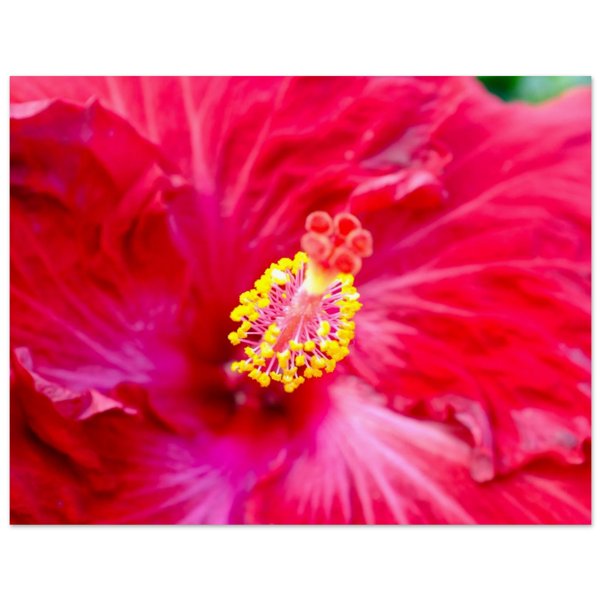 61079b38-c89d-4497-a49e-d4baacf45e47