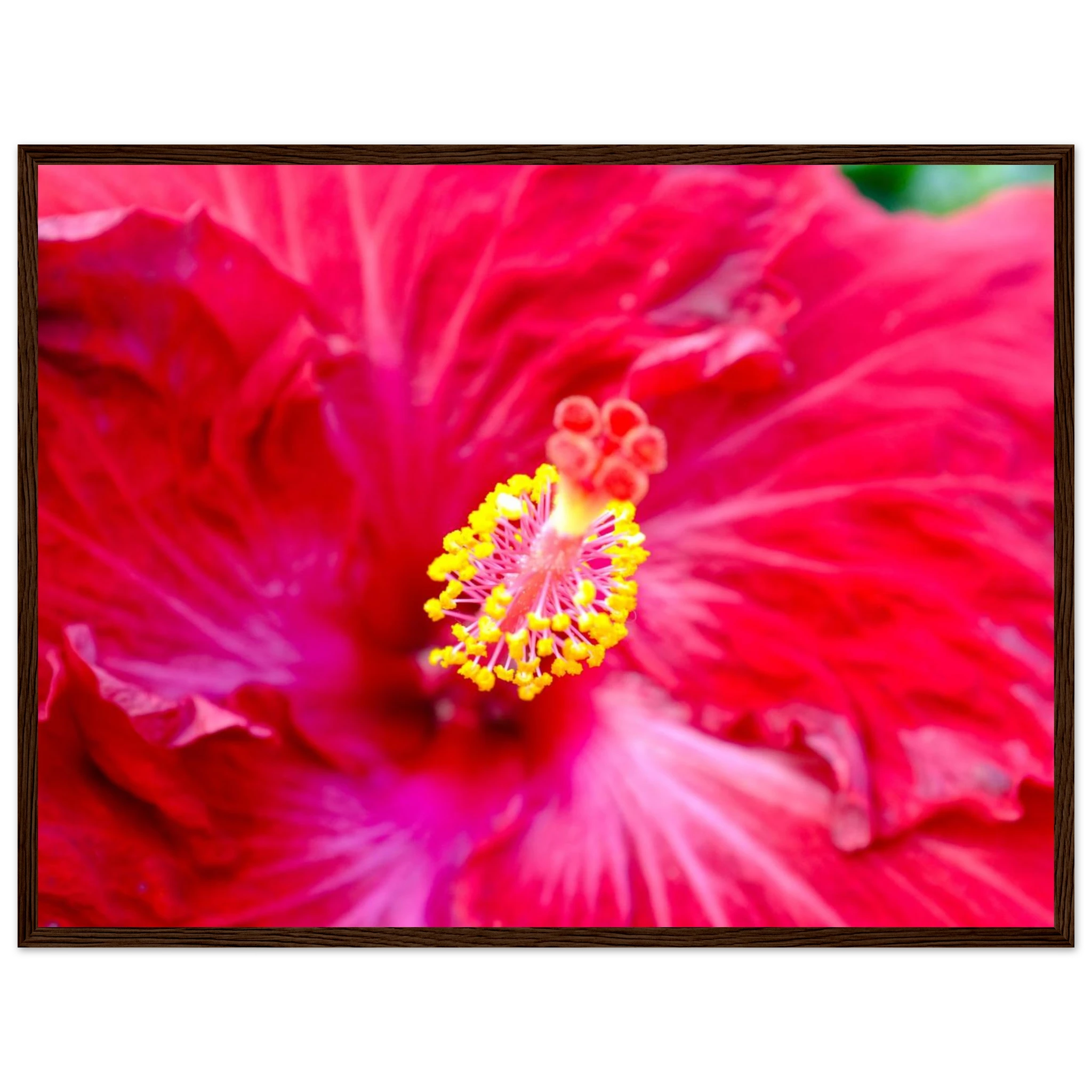9180c2e1-3232-4b54-b626-d94bebf10343