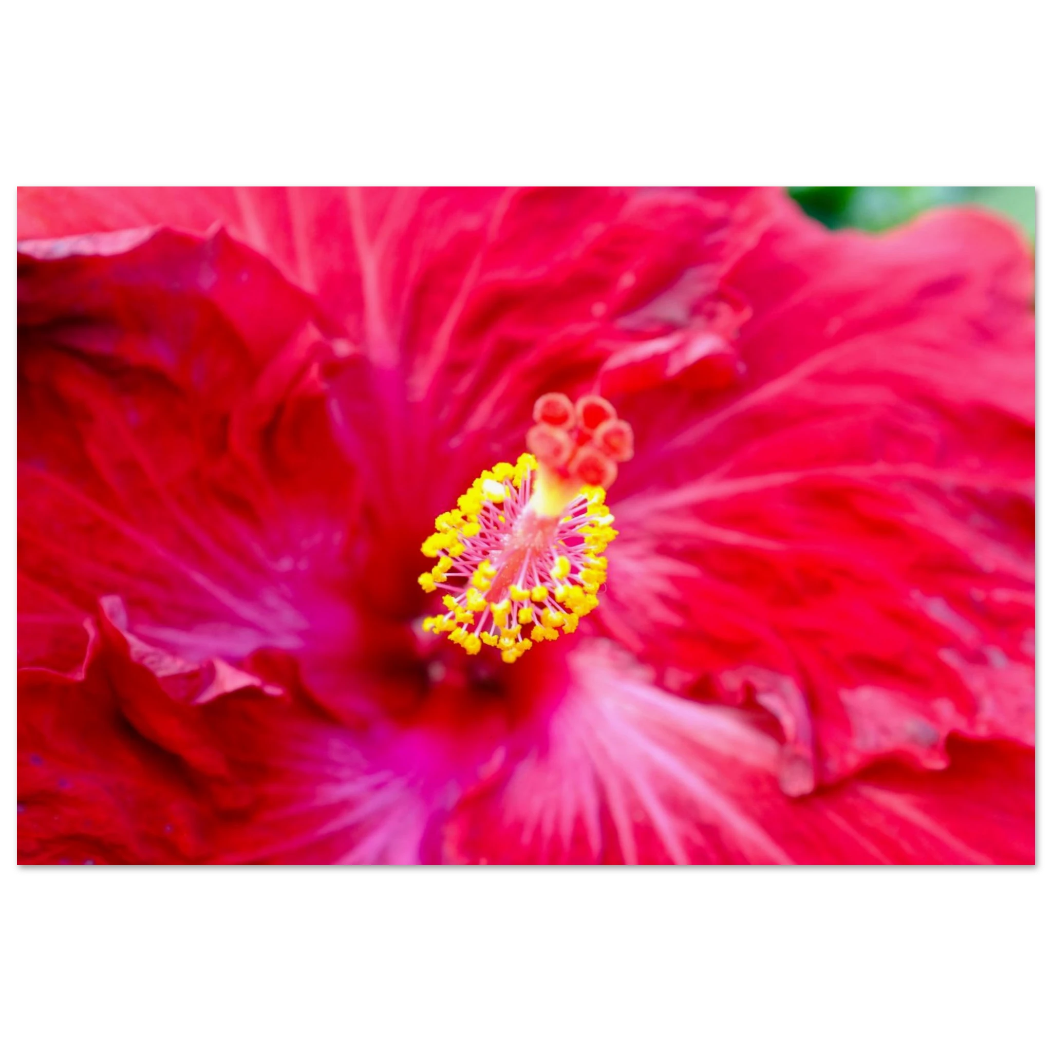 a80e9162-fd46-44d7-bf6c-f483bc45b39a
