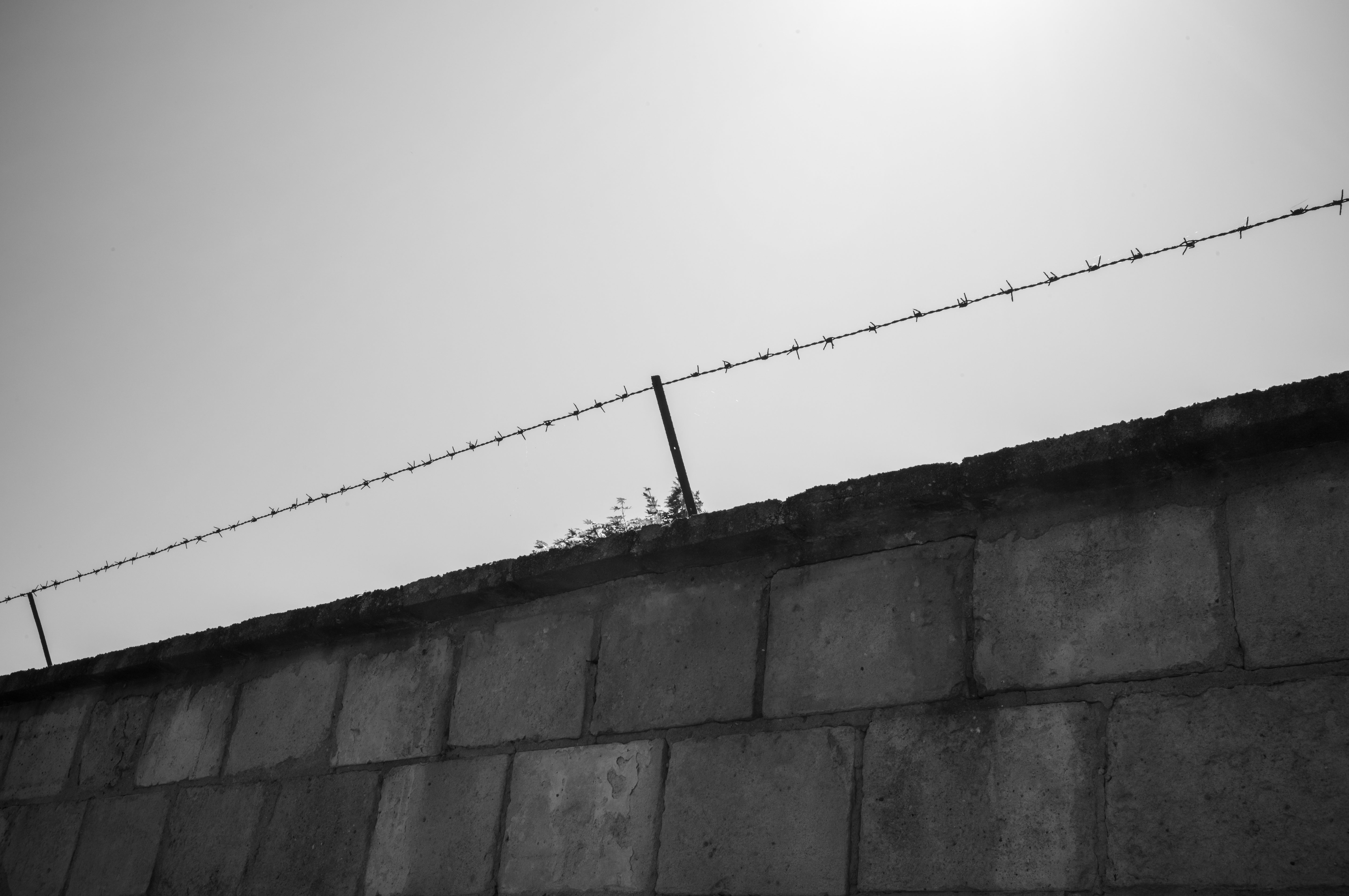 Barbed Wire Concrete Wall - Minimal Monochrome Photography