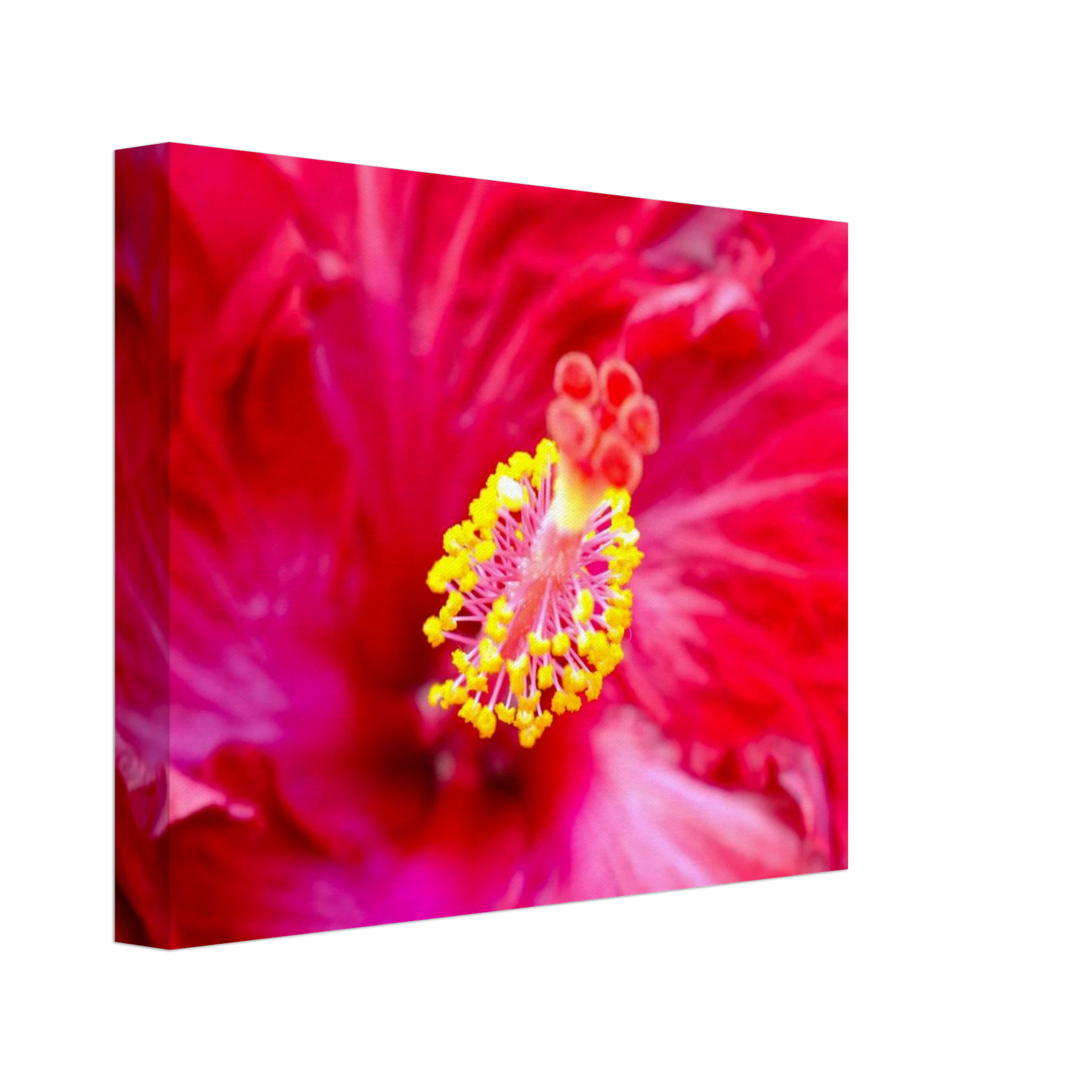 c5f67863-d122-44c3-8cbc-0fb2fa03a906