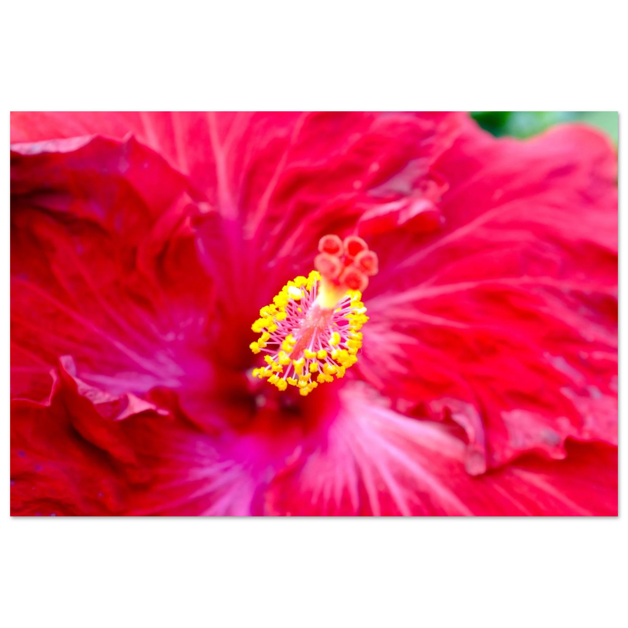 e2f43a15-3898-4305-b67b-879d88adafb6