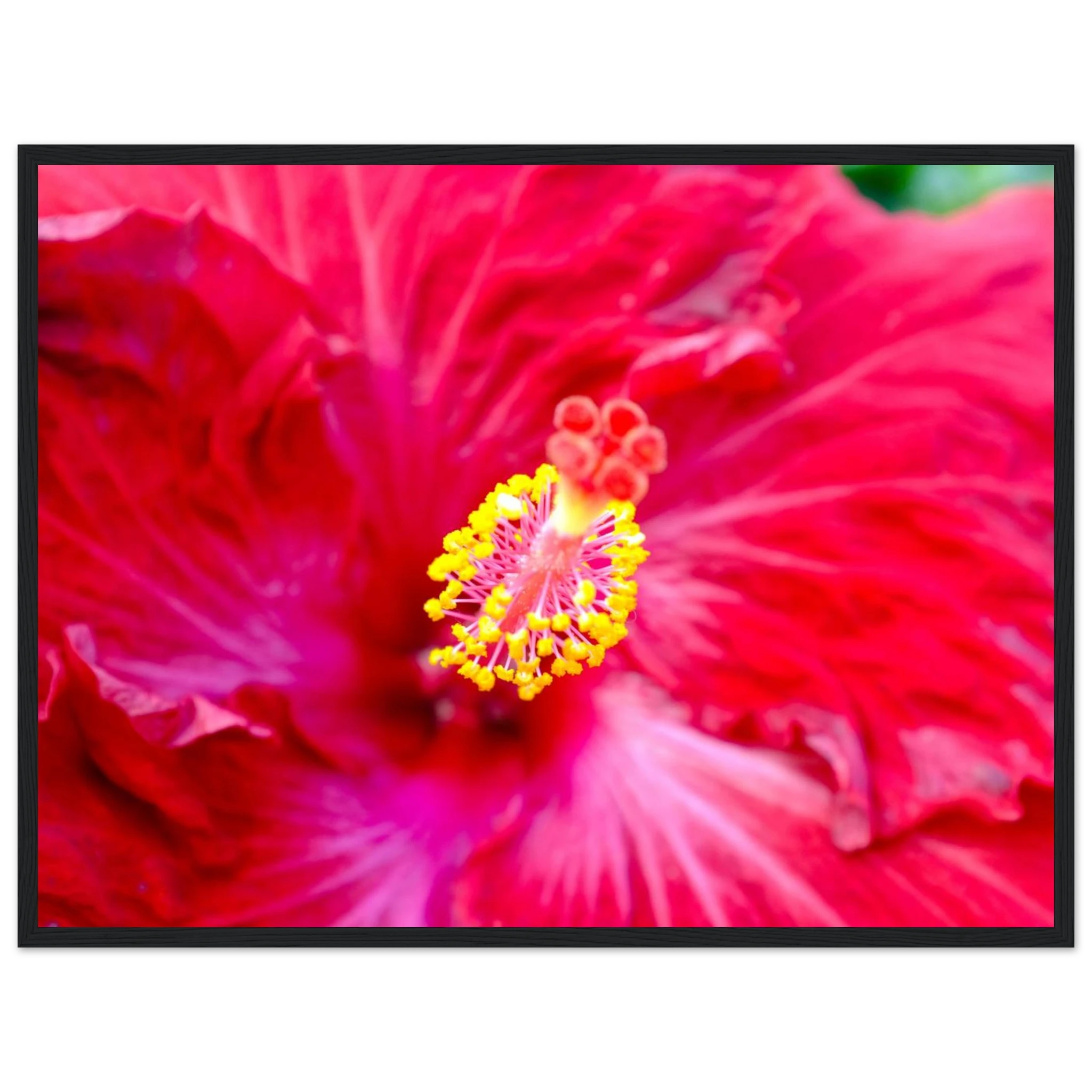 f11bb210-c949-43d7-aaf8-a9abf9e44c32