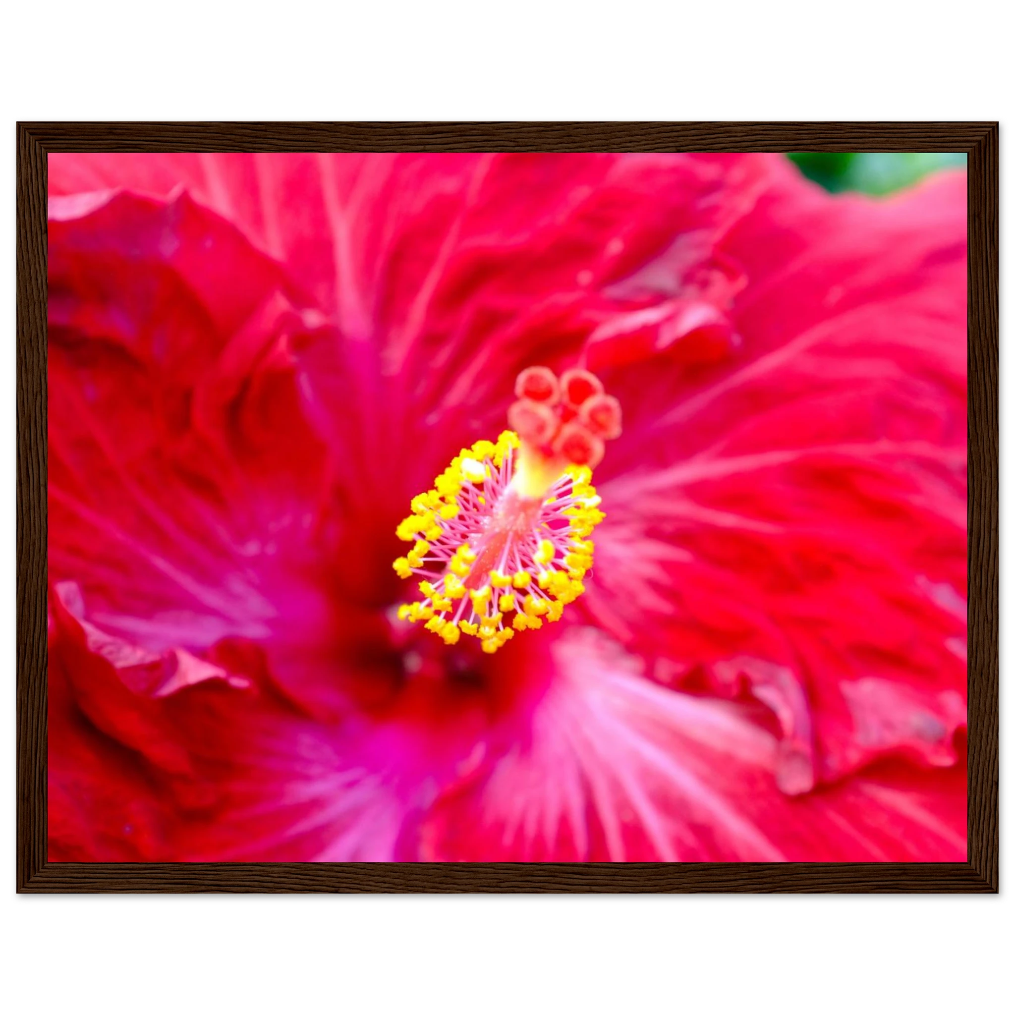 fd3e94b3-a530-472c-b408-92dfa1ea35c2