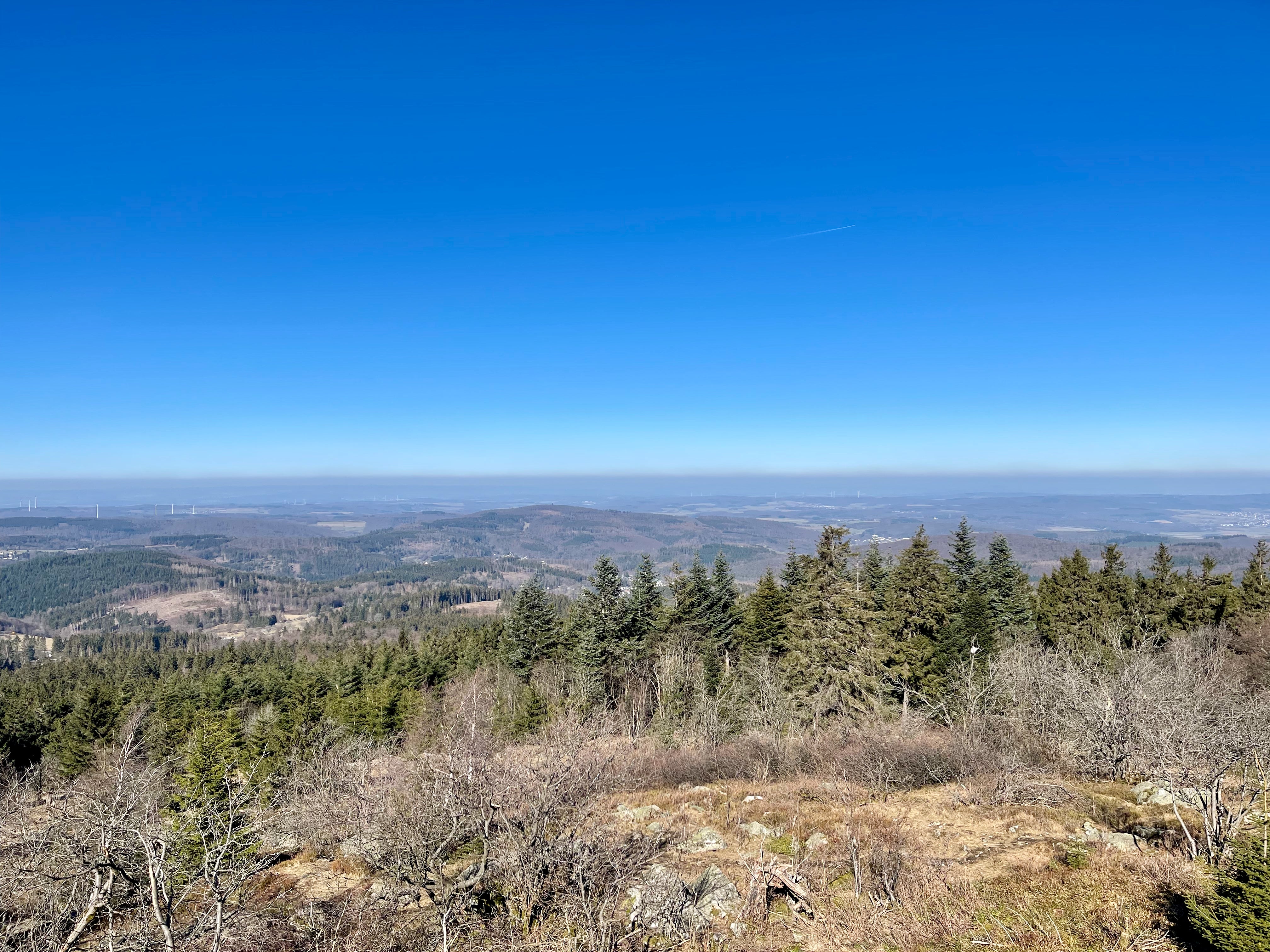 Forest Mountain Overlook - Blue Sky Landscape Photography