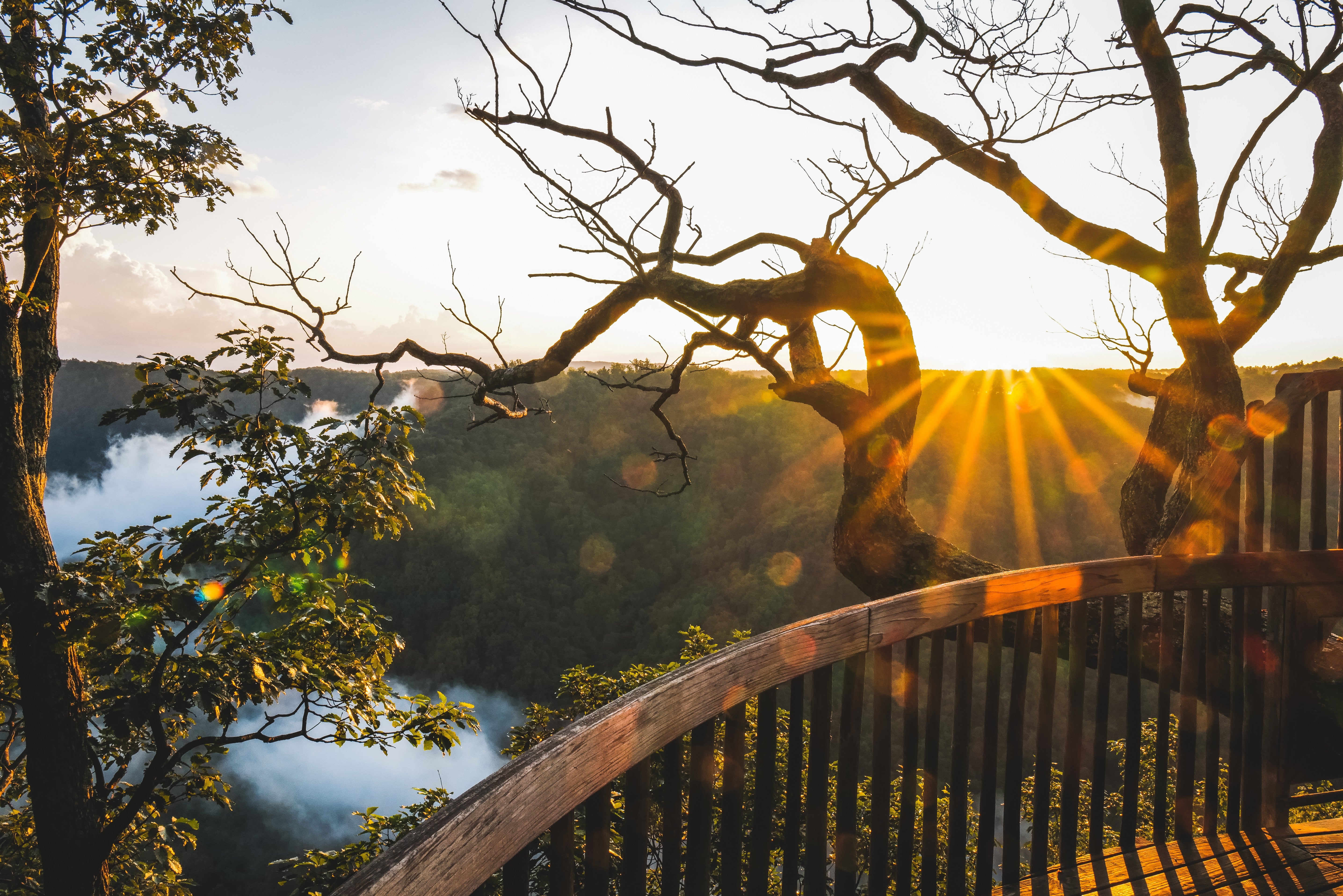 Treehouse at Golden Hour - Primland Virginia Landscape Photography