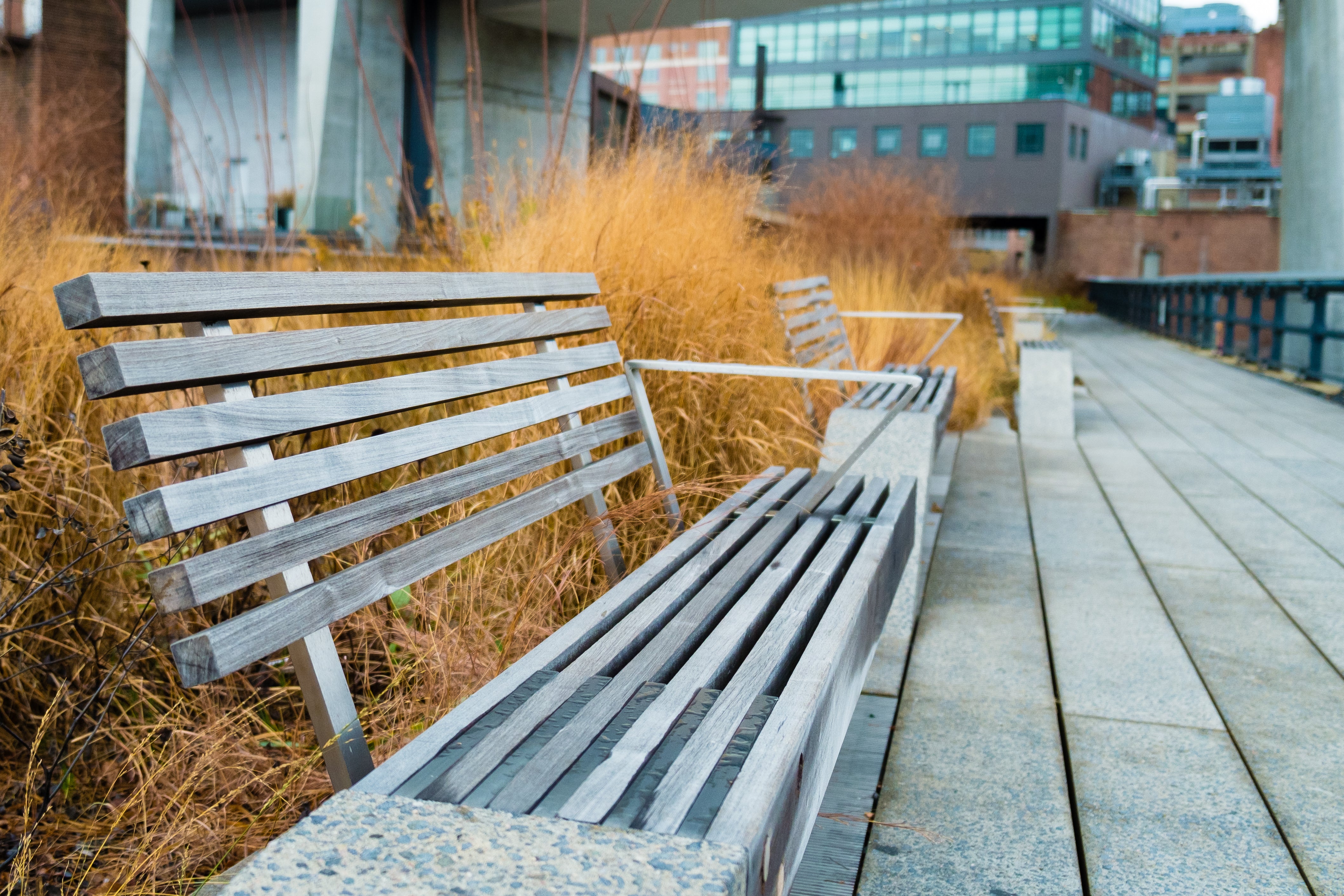 High Line Park Autumn Bench - New York City Photography