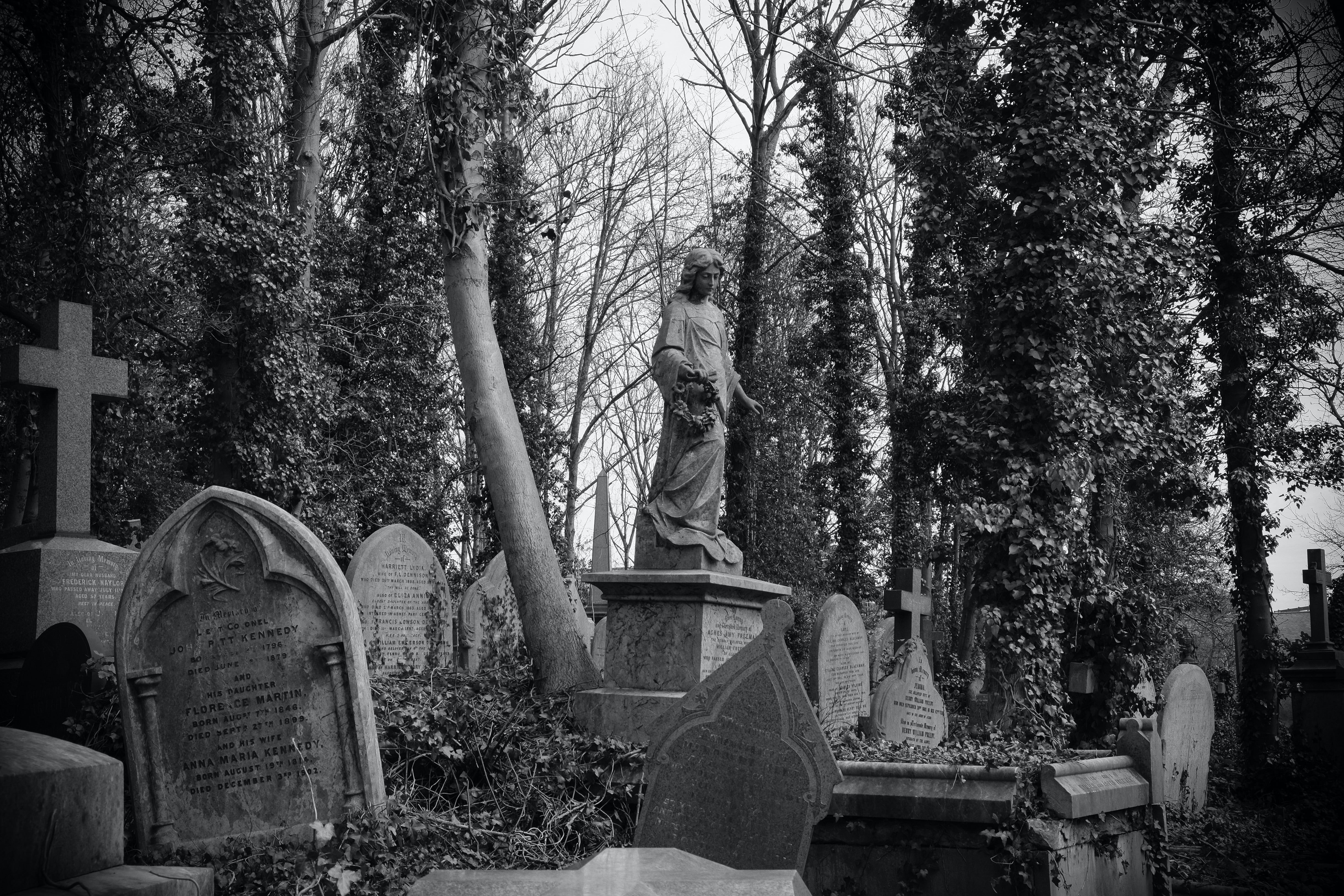 Overgrown Victorian Cemetery Angel - Highgate London Black and White Photography