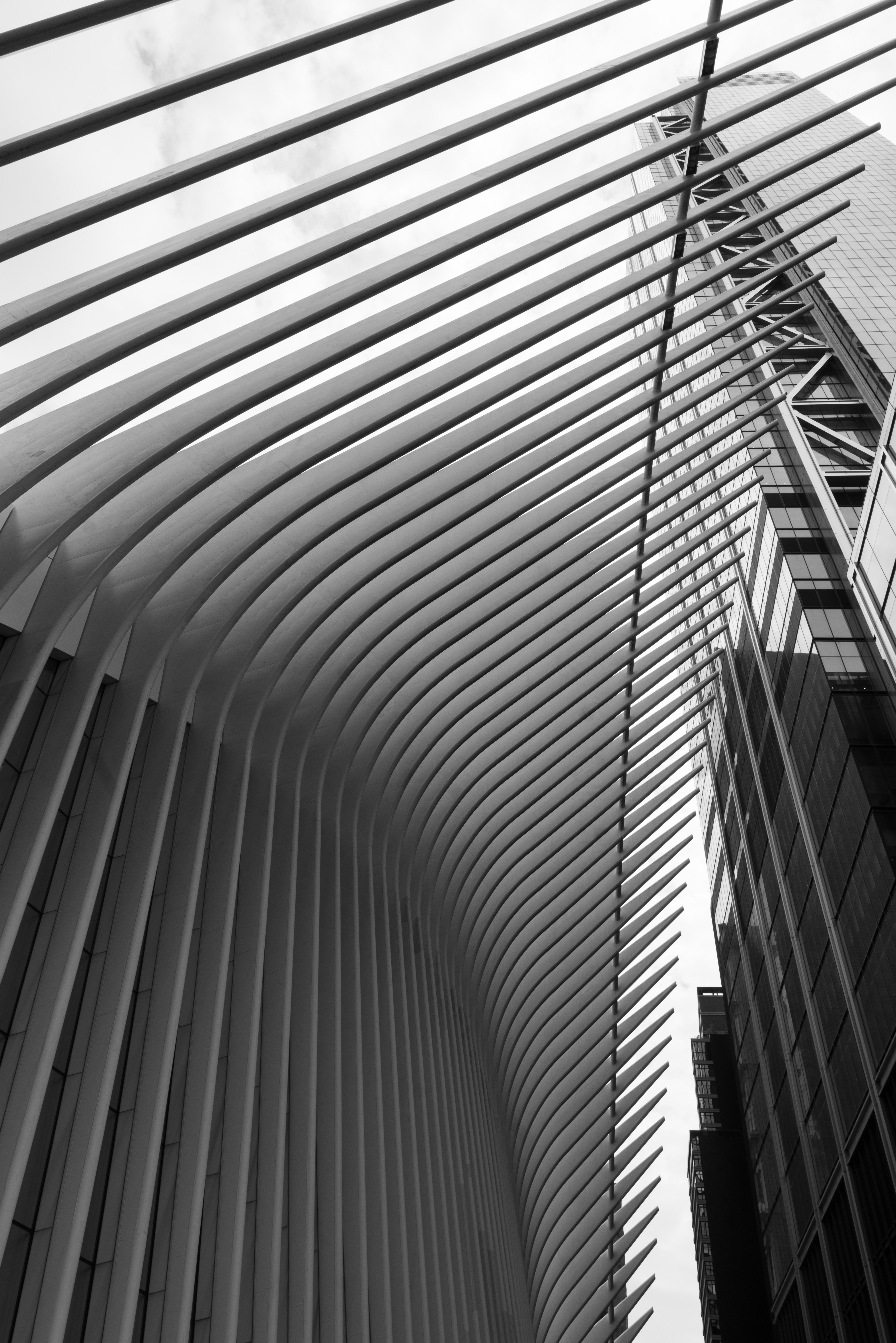 Oculus Steel Ribs - Abstract Architectural Lines Black and White NYC