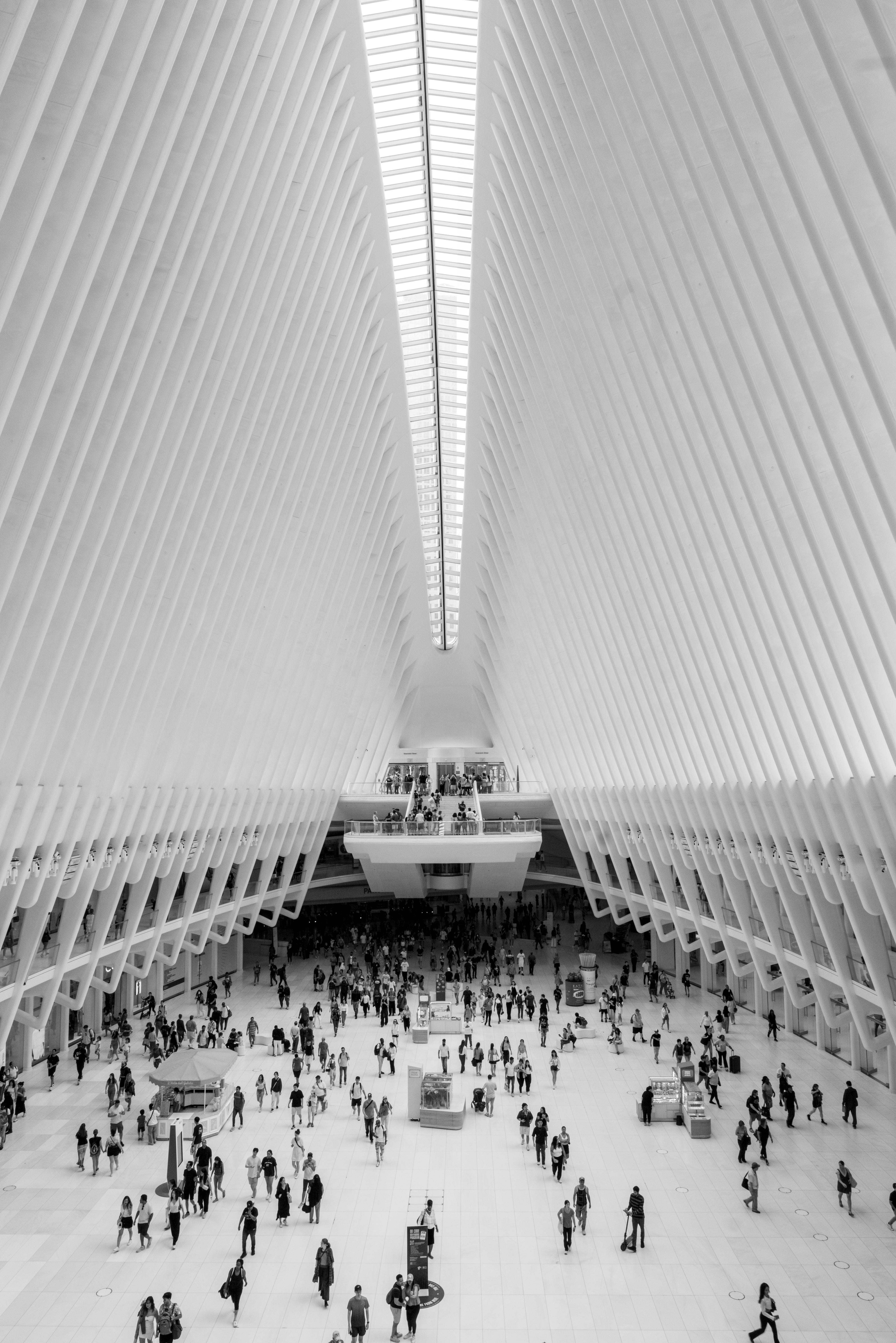 Oculus Interior Ribs - WTC New York Monochrome Architecture Photography
