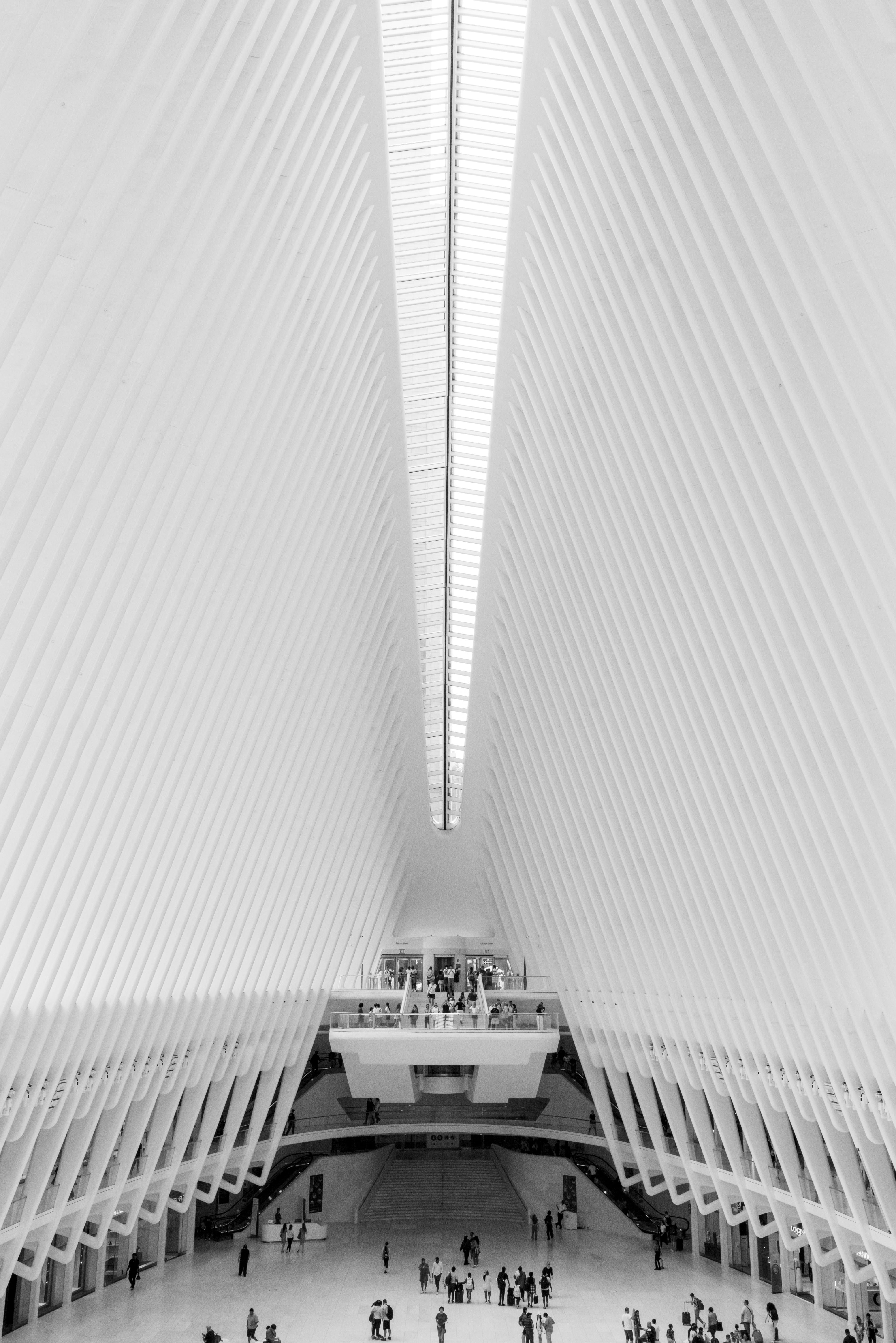 Oculus Vertical Wings - New York Monochrome Architecture Photography