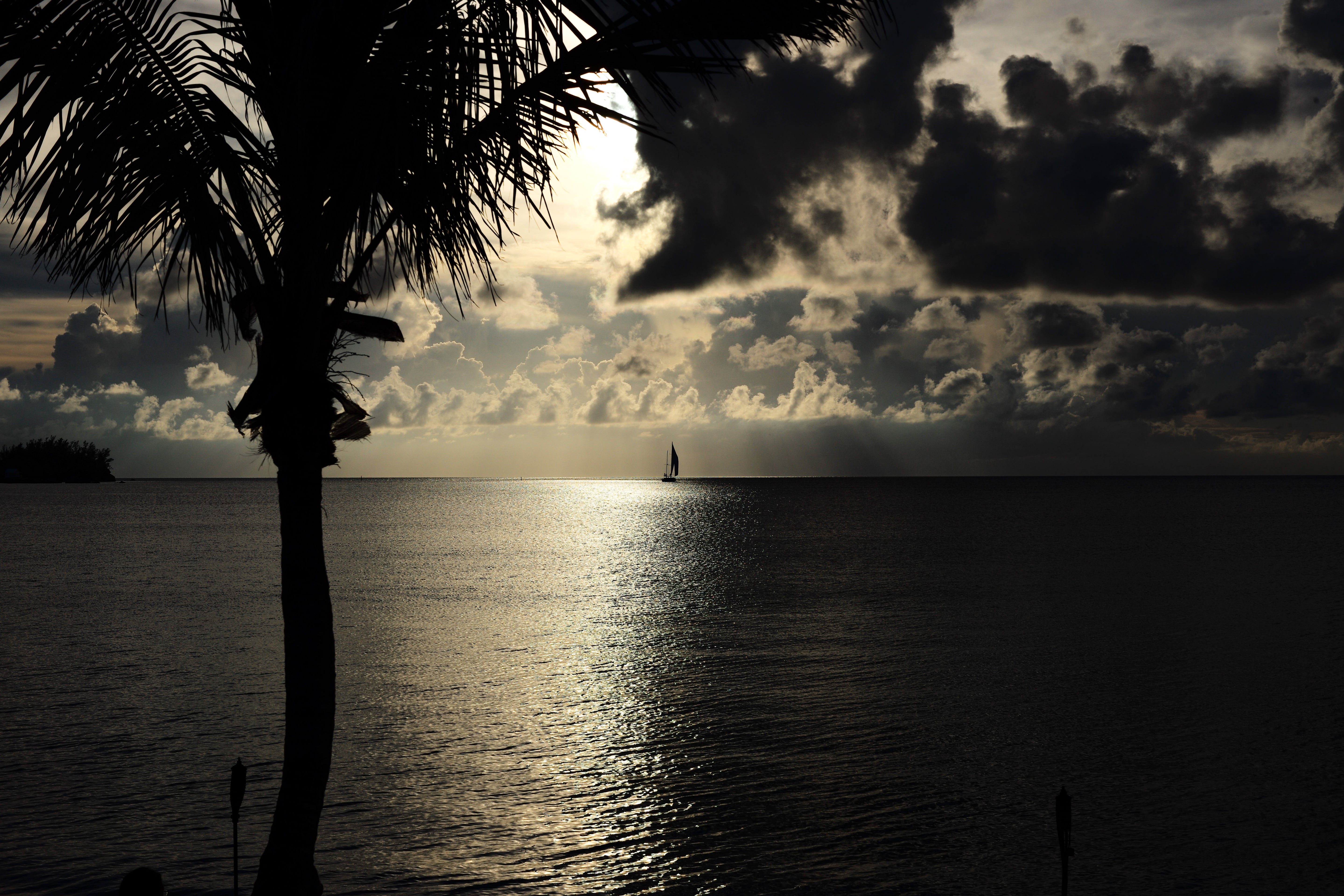 Palm Tree and Sailboat at Sunset - Tropical Silhouette Photography
