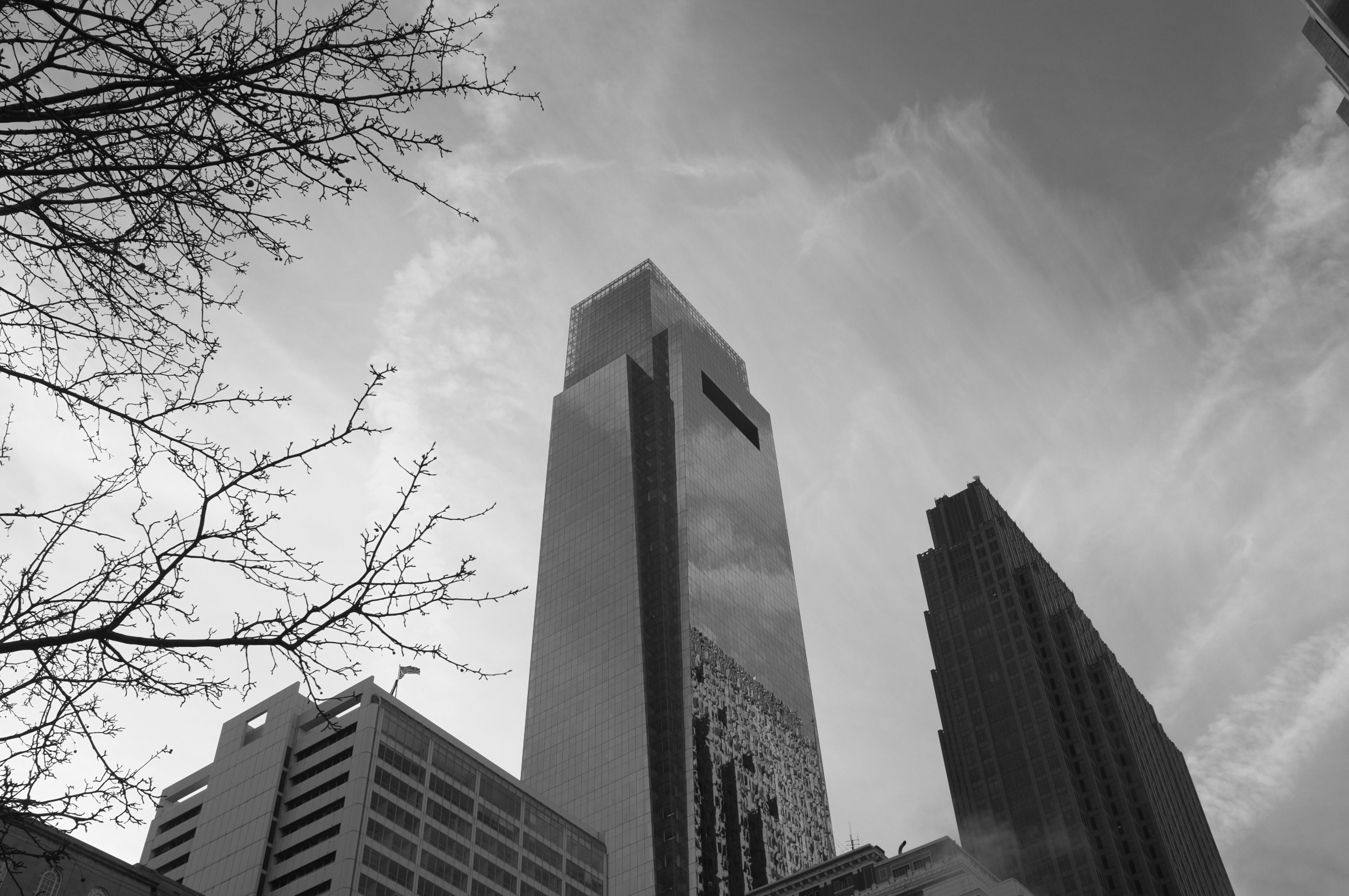 Bare Tree and Skyscraper - Philadelphia Monochrome Photography