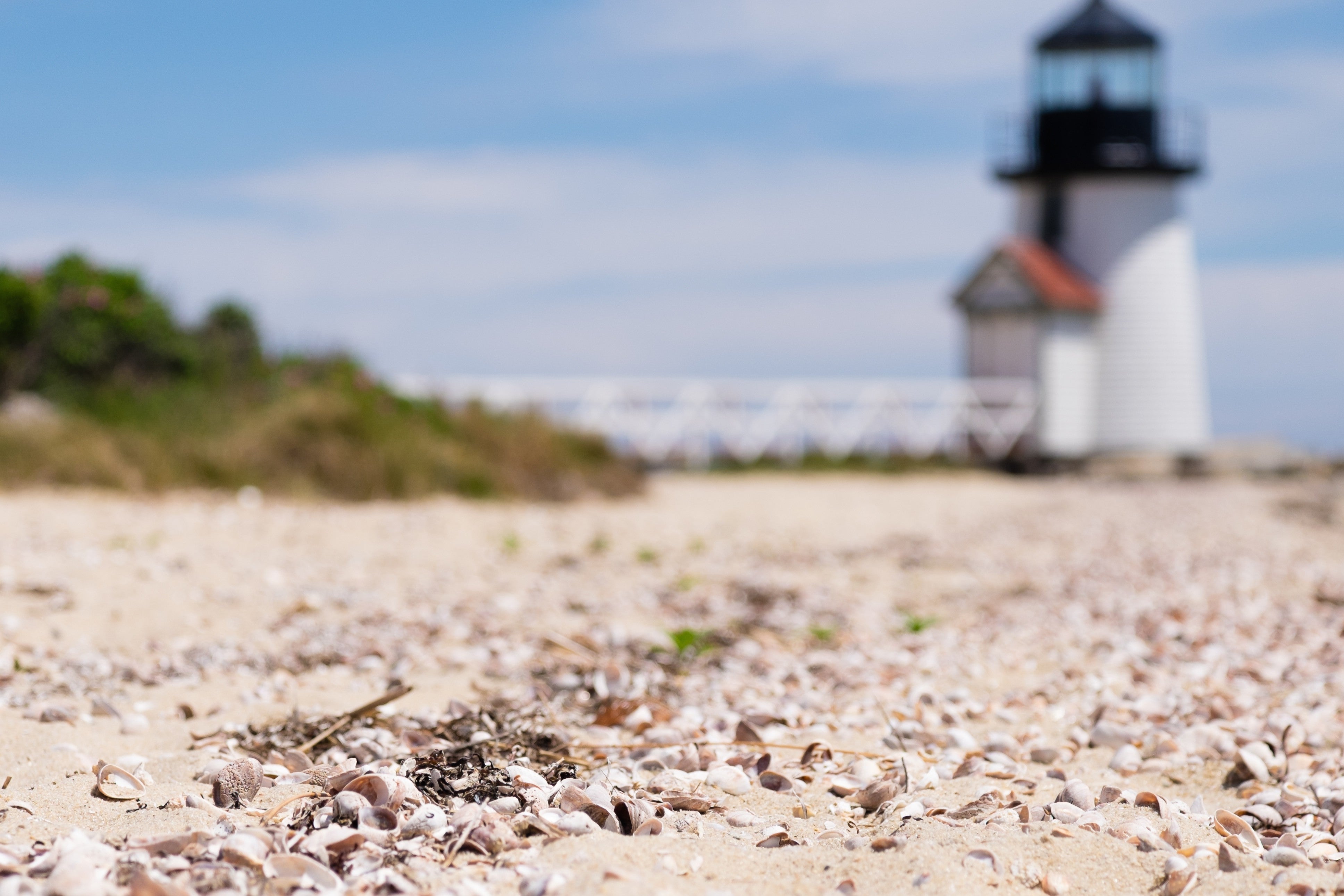 Brant Point Lighthouse and Shells - Nantucket Coastal Photography
