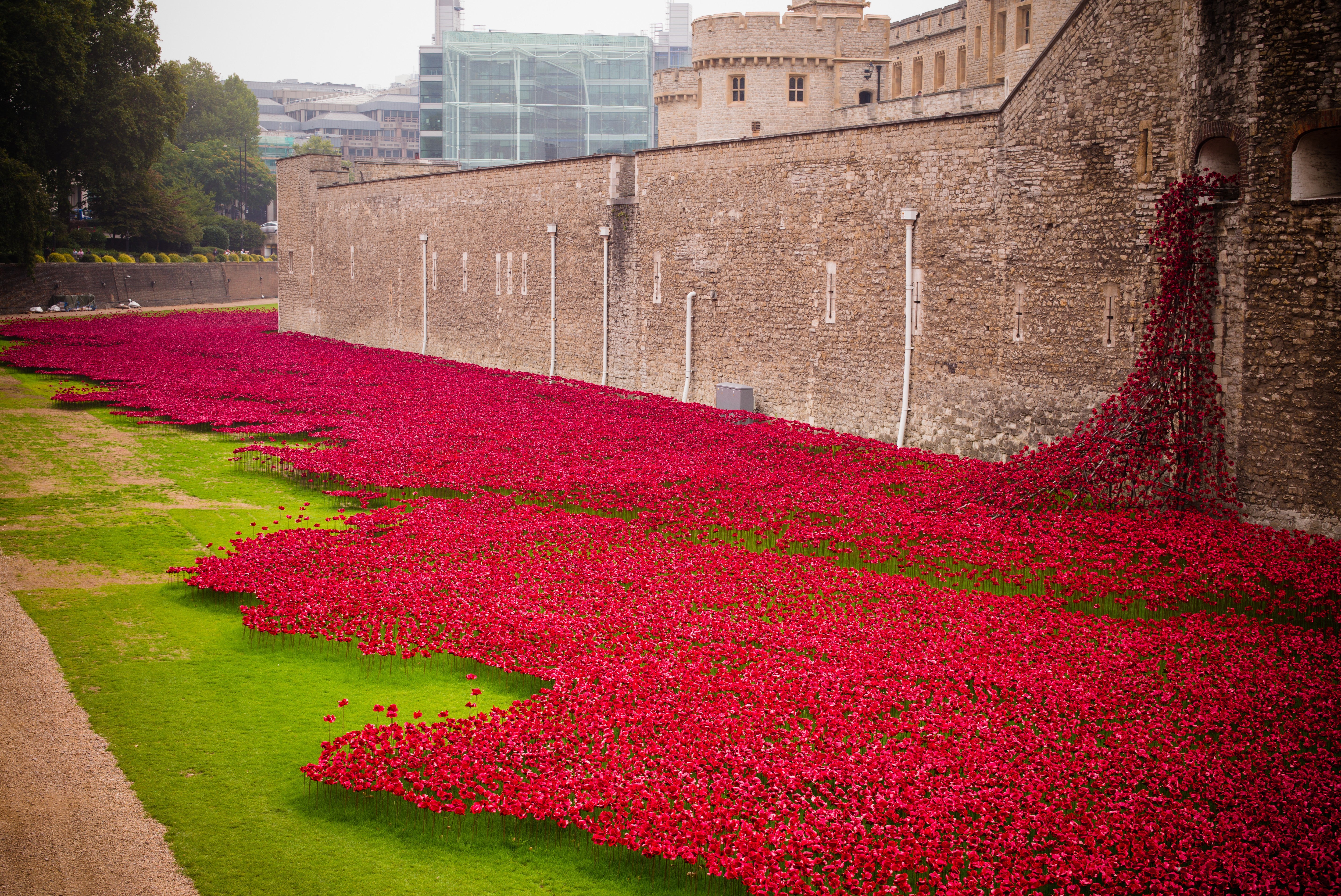 Tower of London Poppies - Red Remembrance Art Photography