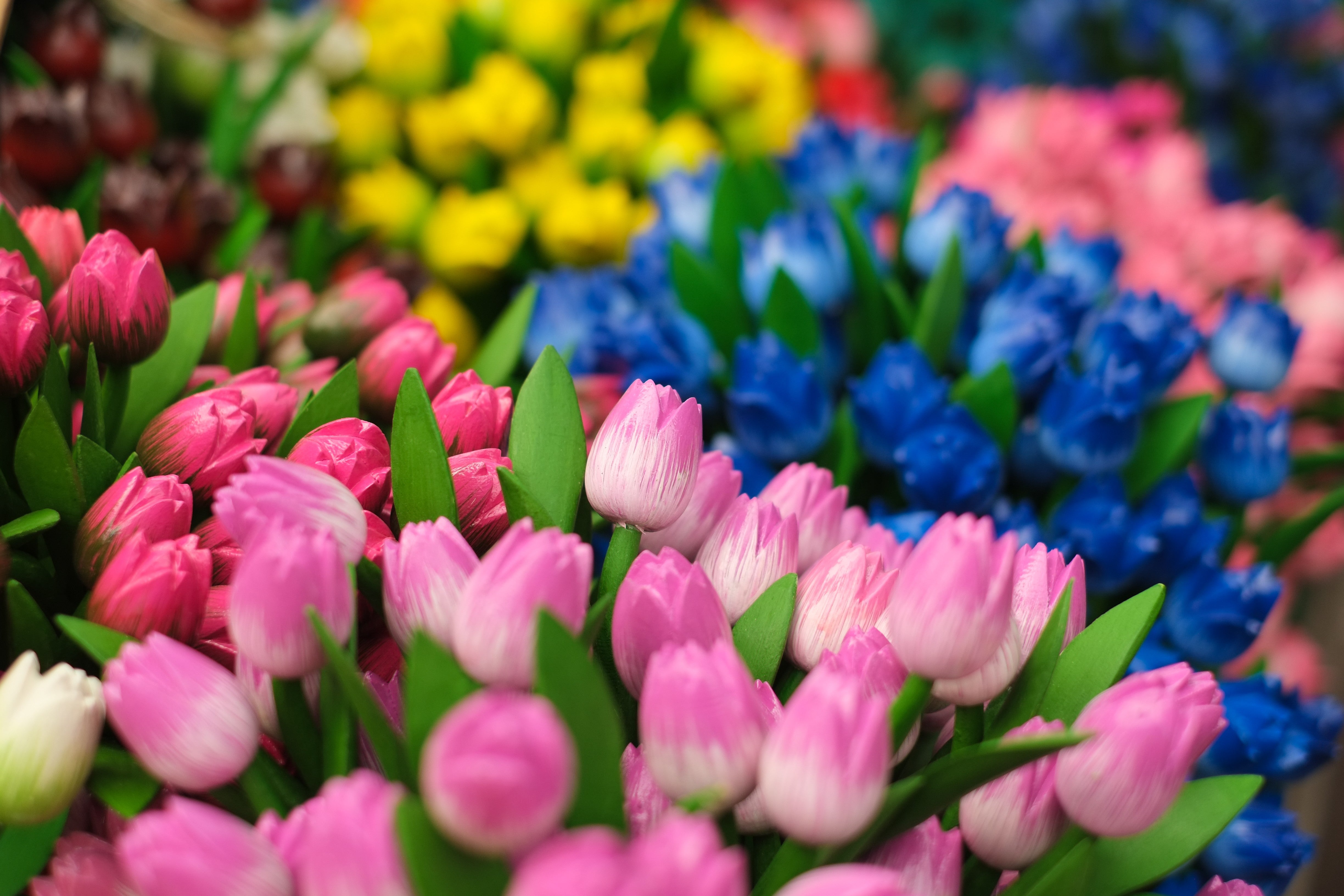 Wooden Tulips of Amsterdam - Colorful Souvenir Photography